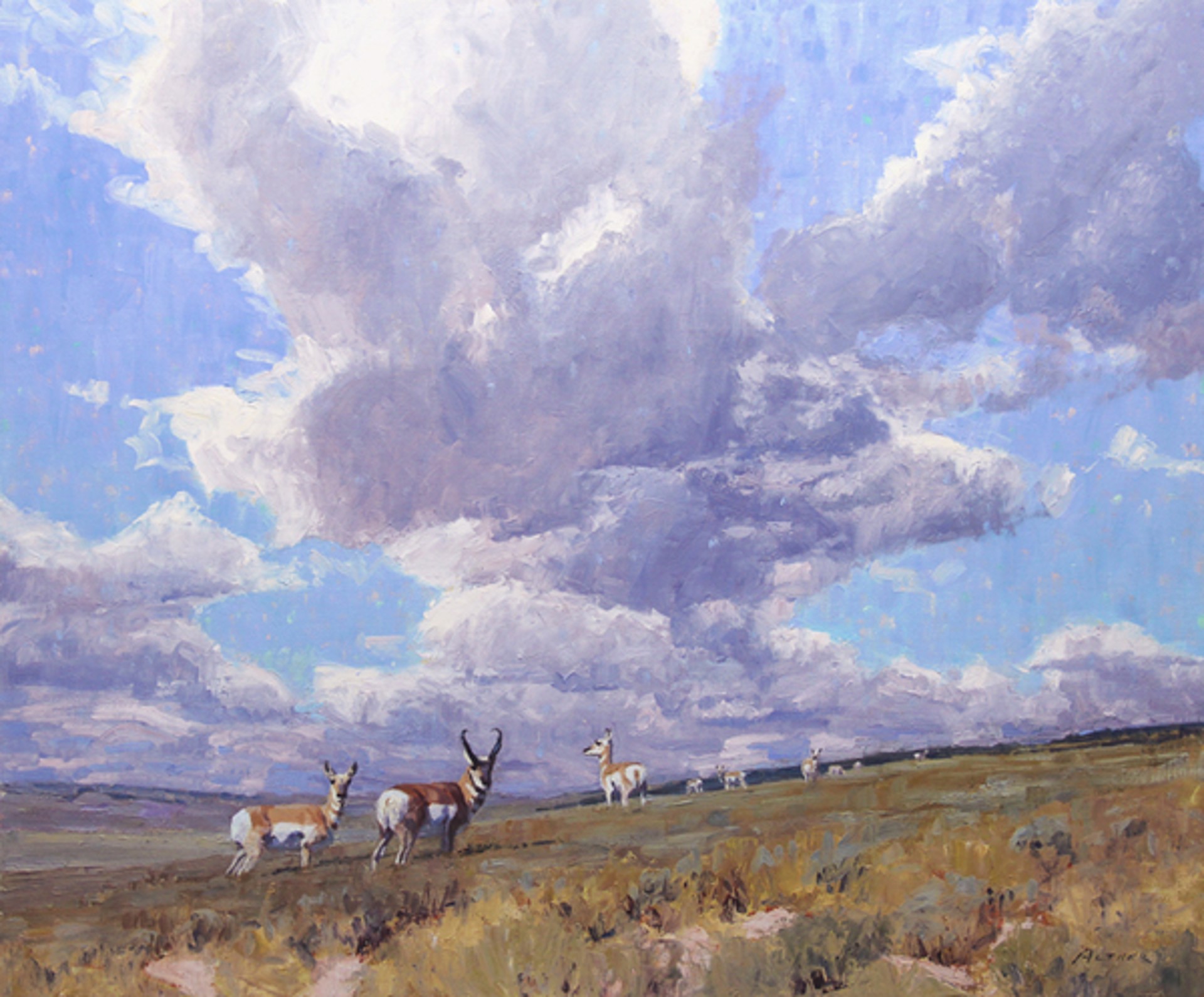 Capricious Skies (Antelope) by William Alther