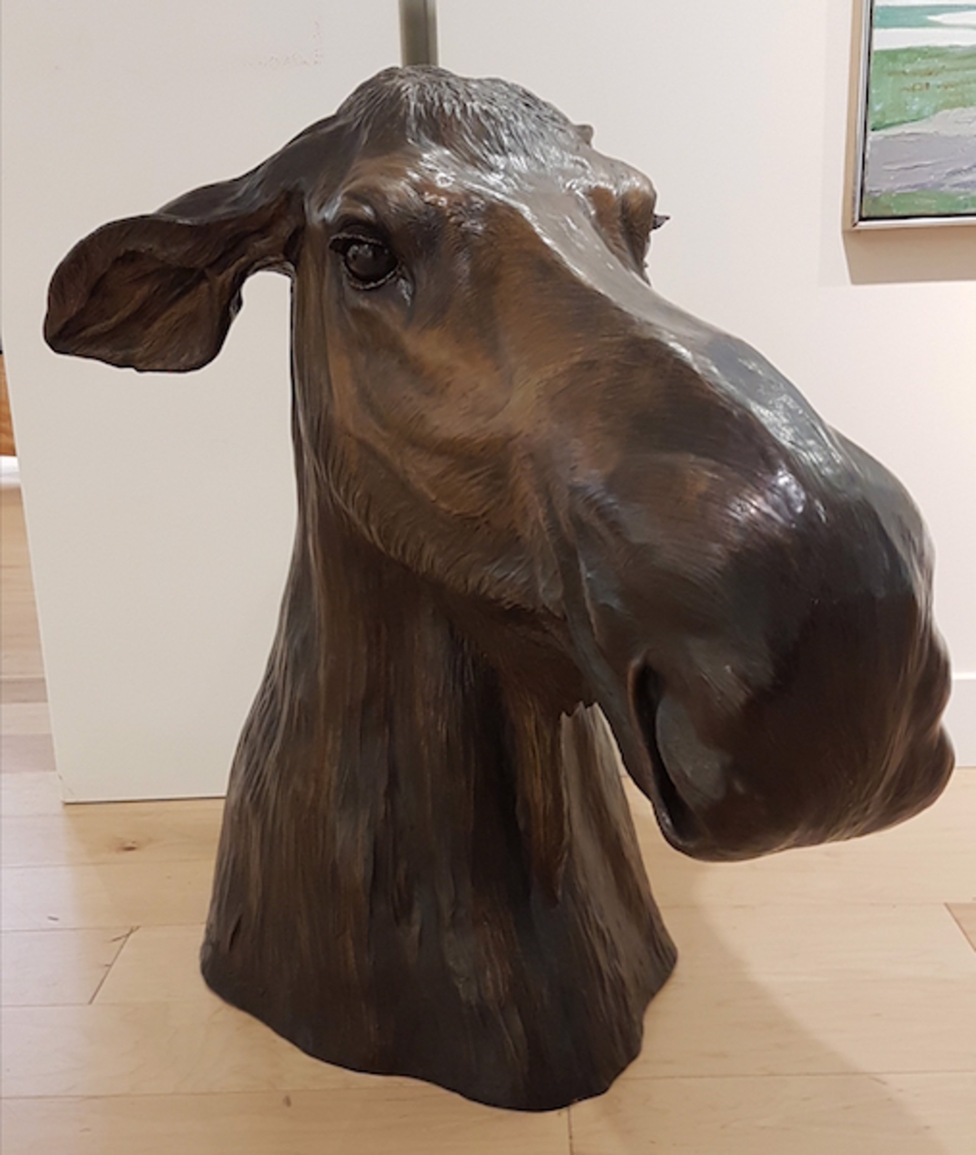 Bathing Beauty, Cow Moose Bust by Tom Hjorleifson