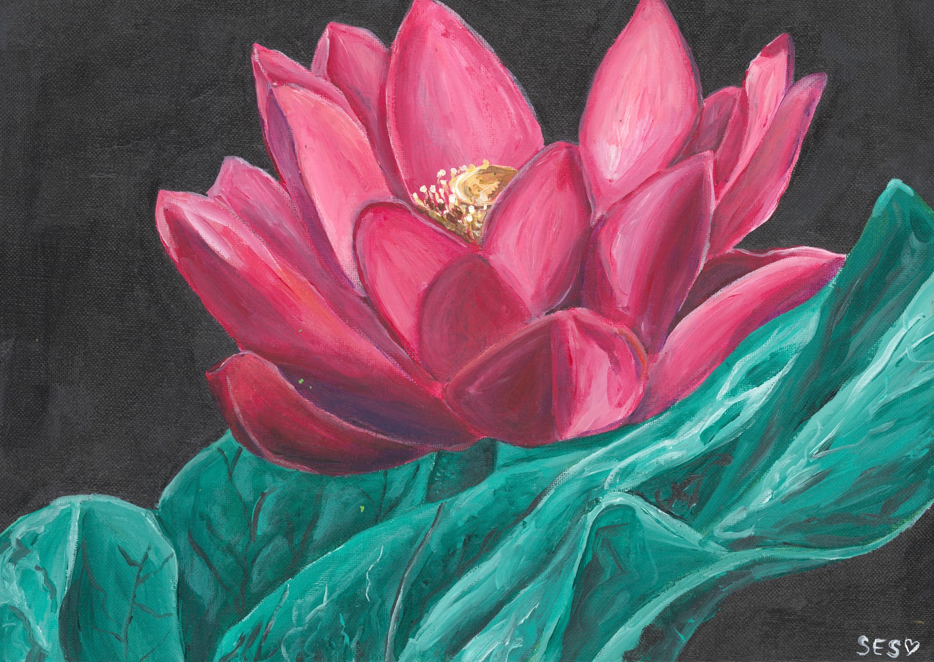 Lotus Blossom by Sarah Swan