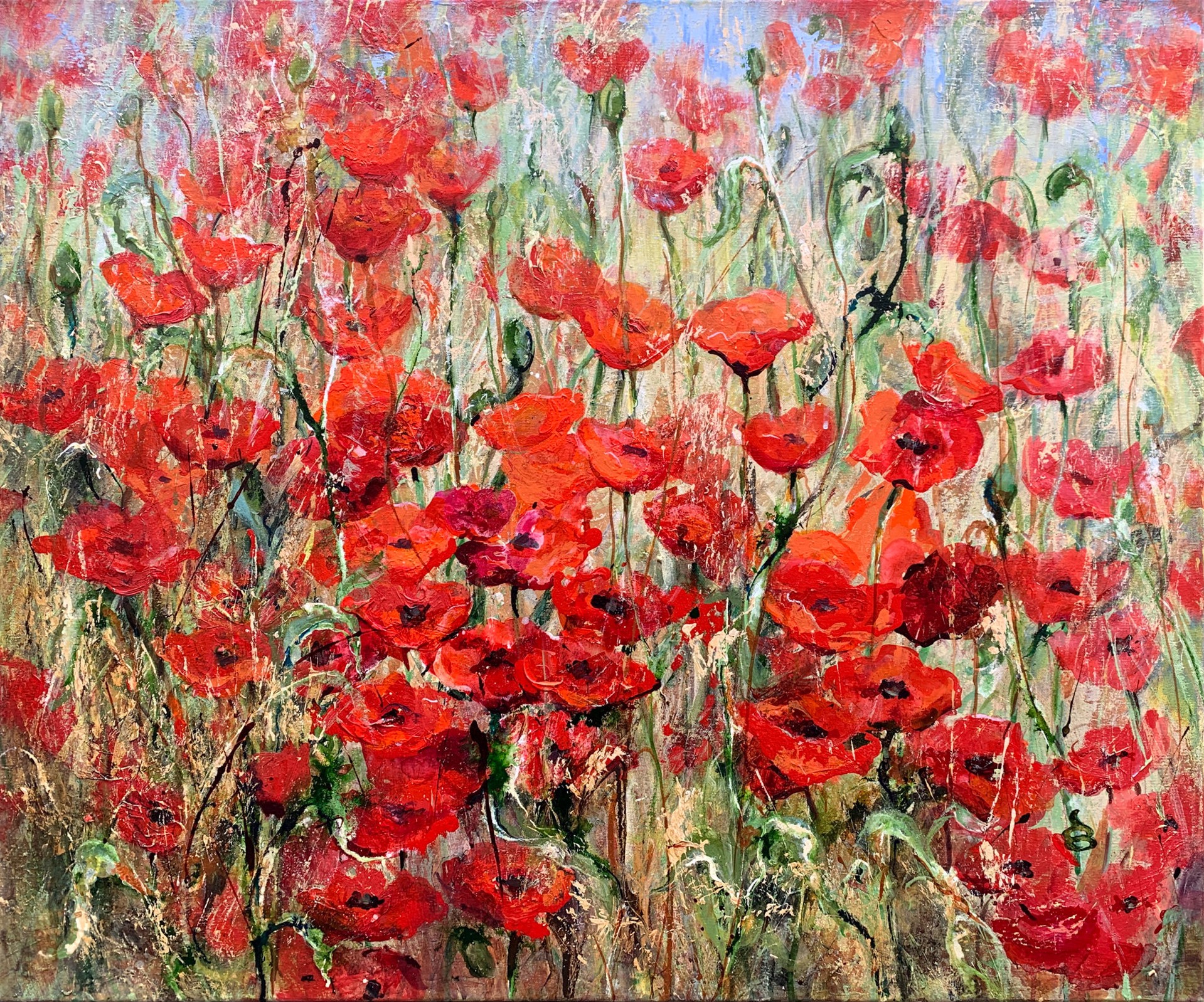 Provincial Poppies, France by Dianne Ogg