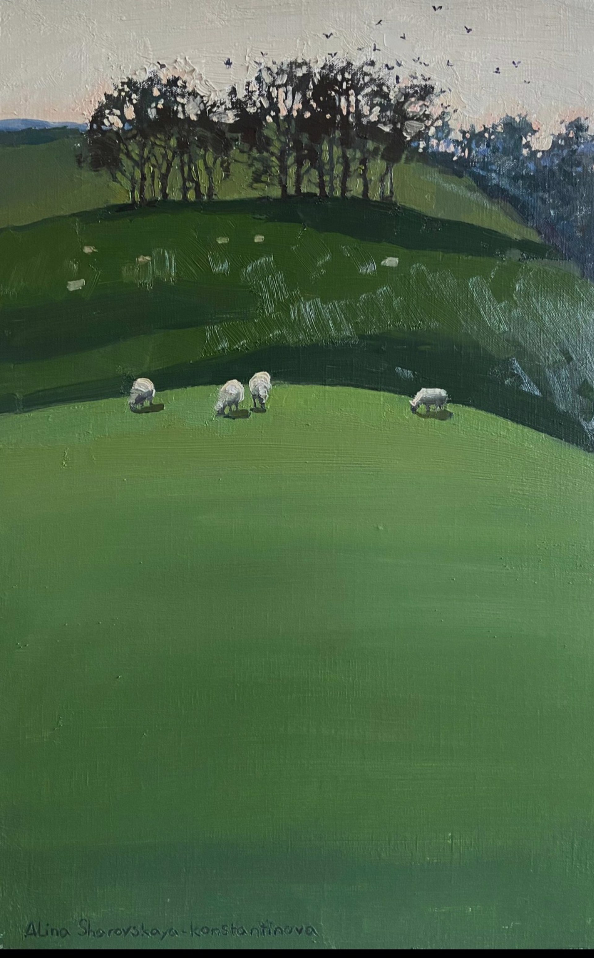 Sheep in the Meadow by Alina Sharovskaya