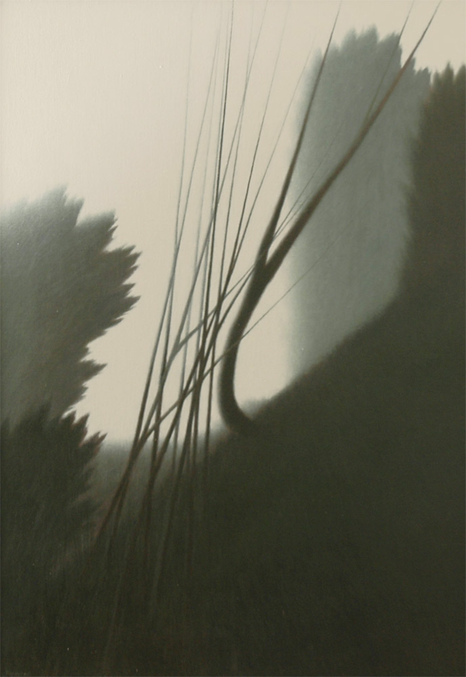 Landscape W/ Dark Slope by Robert Kipniss