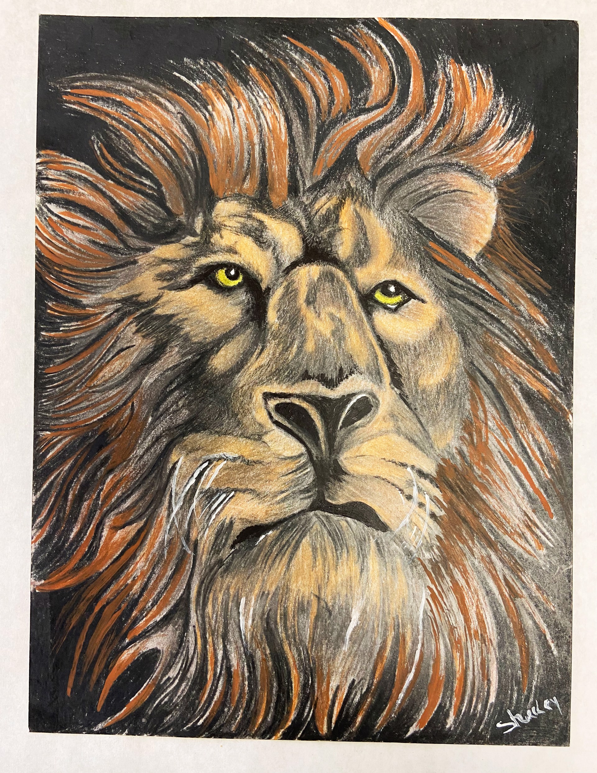 Heart of a Lion by Sheeley