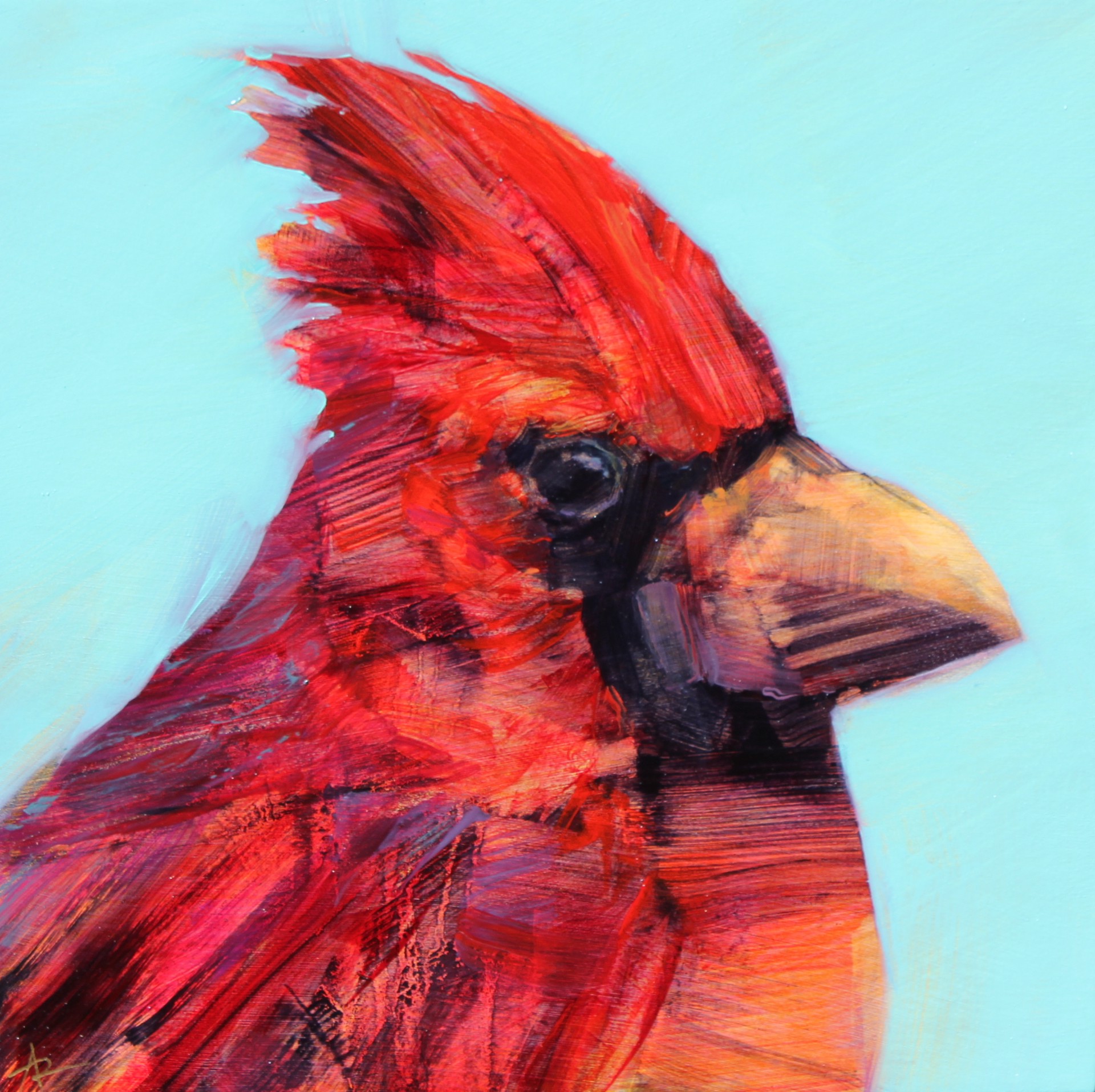 Cardinal 2 by Angie Renfro