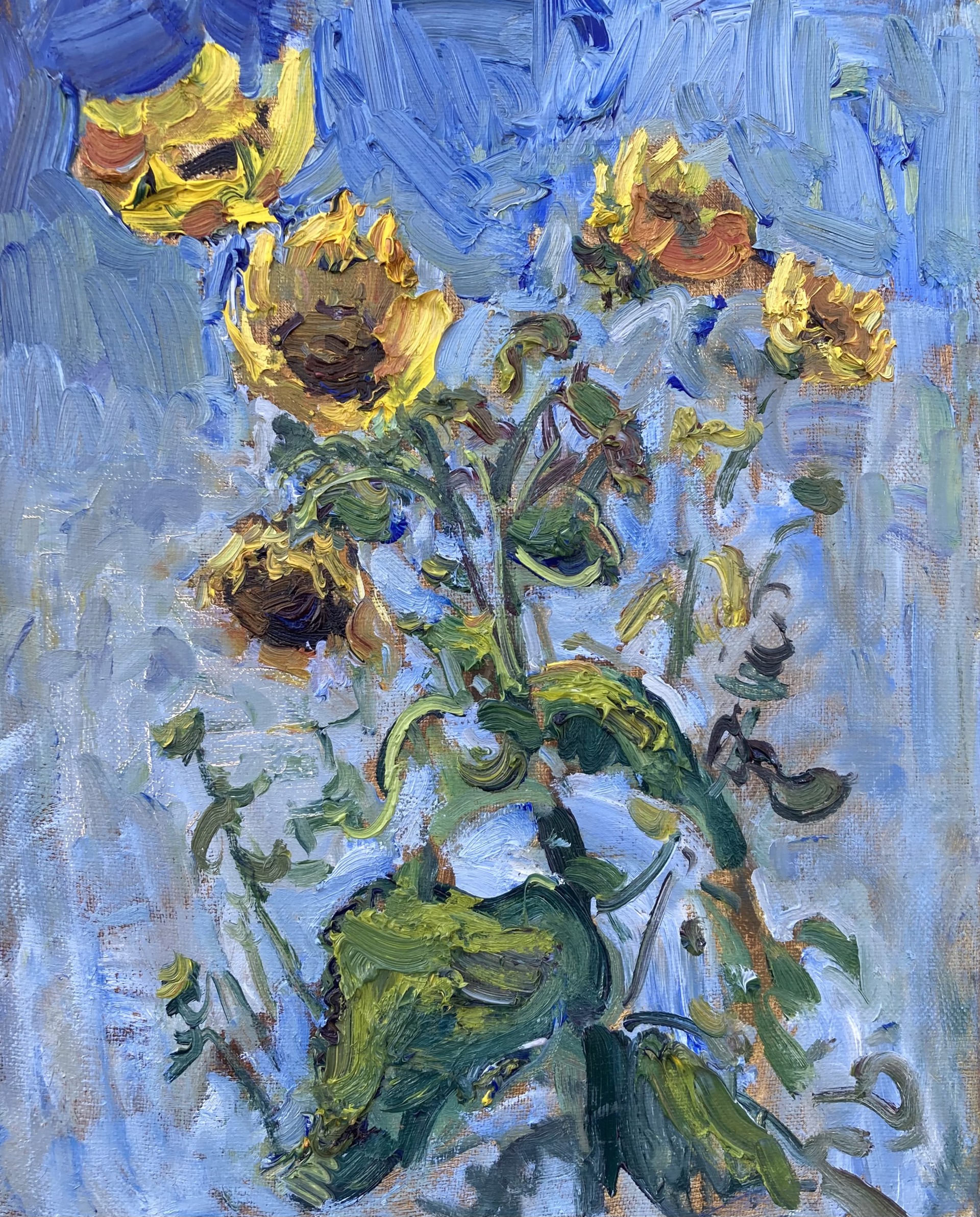 Backyard Sunflowers II by Turner Vinson