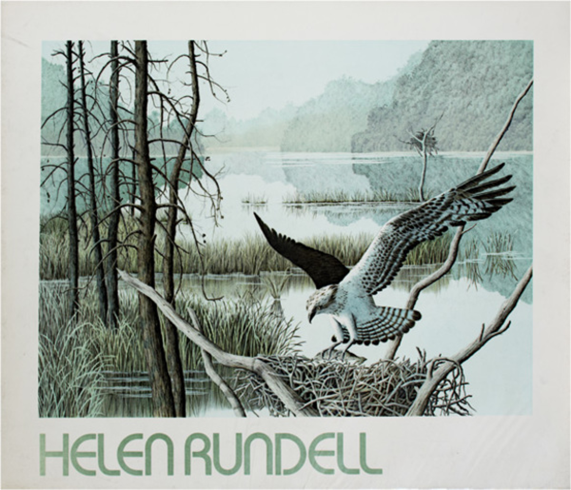 Osprey by Helen Rundell