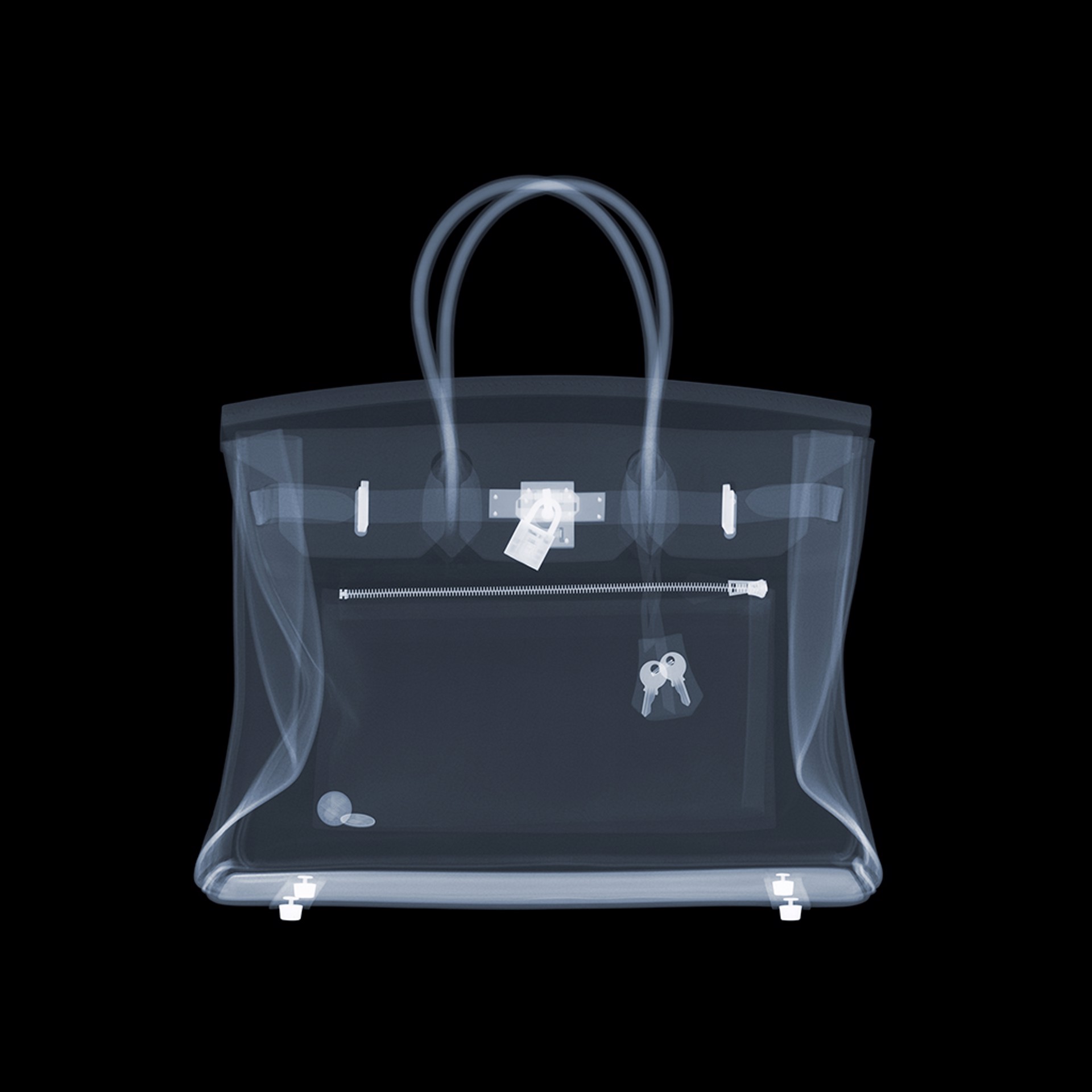 Hermes Birkin Bag by Nick Veasey