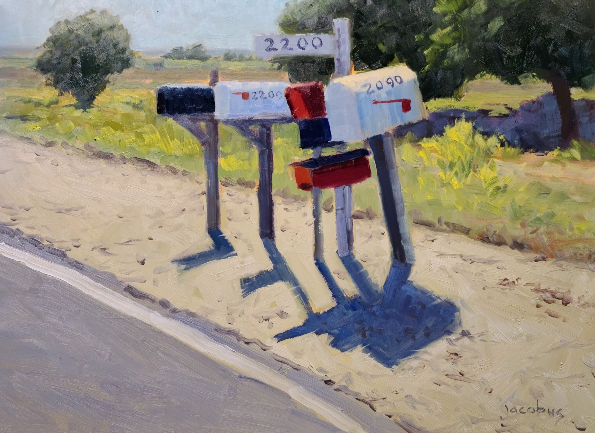 Rural Mailboxes by Jacobus Baas