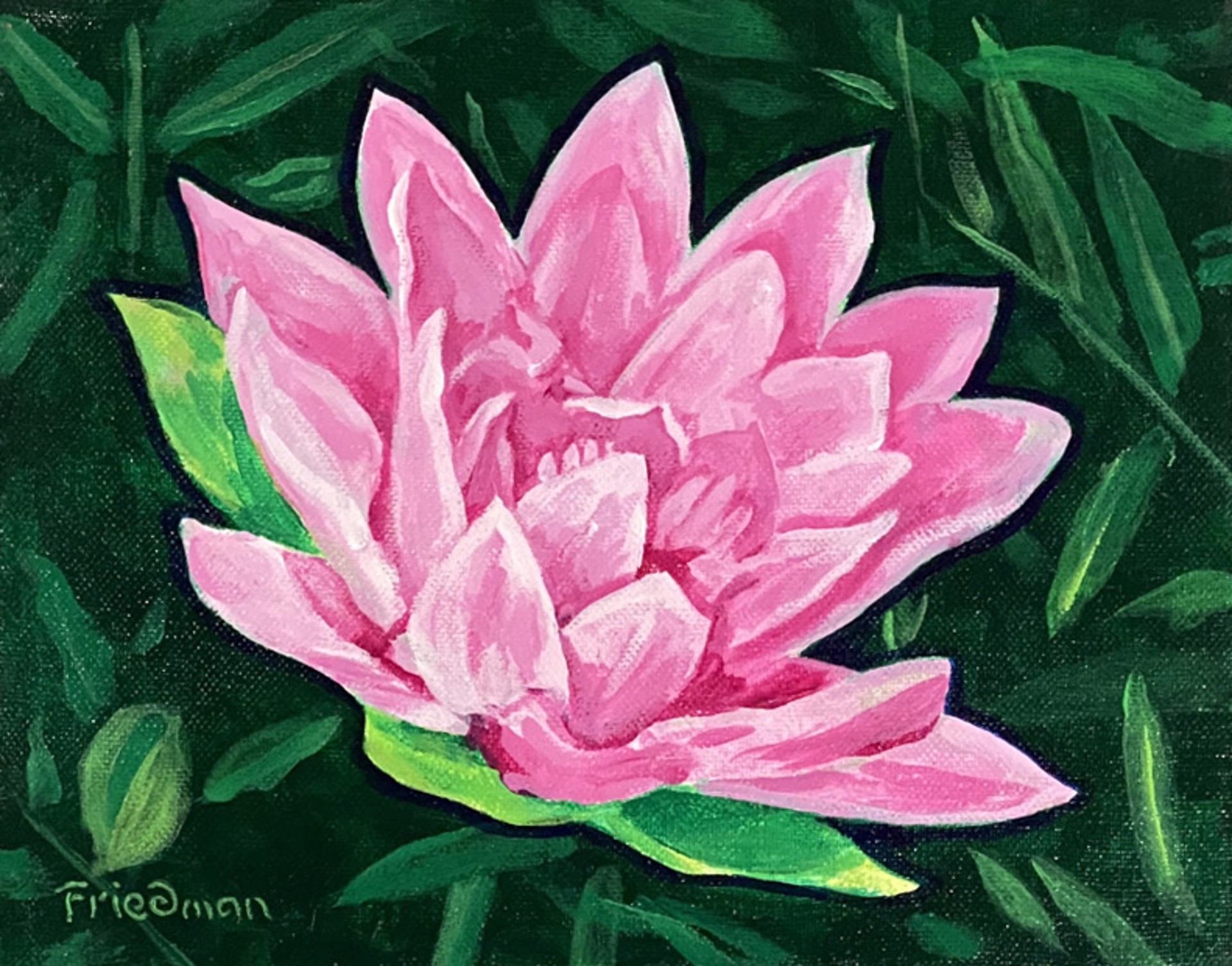 Lotus by David Friedman