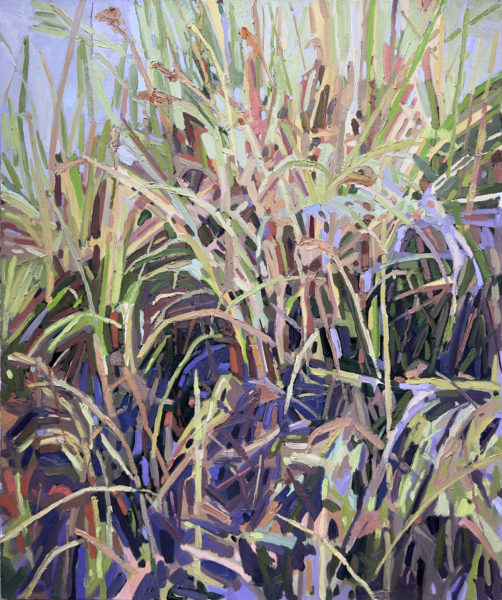 Grasses by Krista Townsend