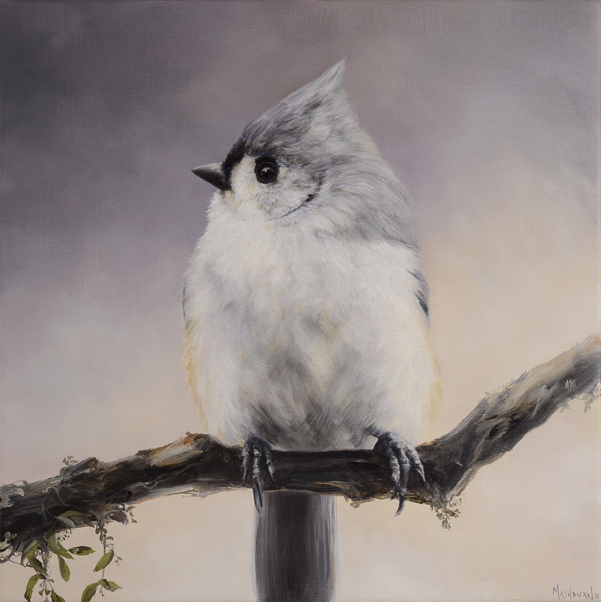Tufted Titmouse 1 by Brian Mashburn