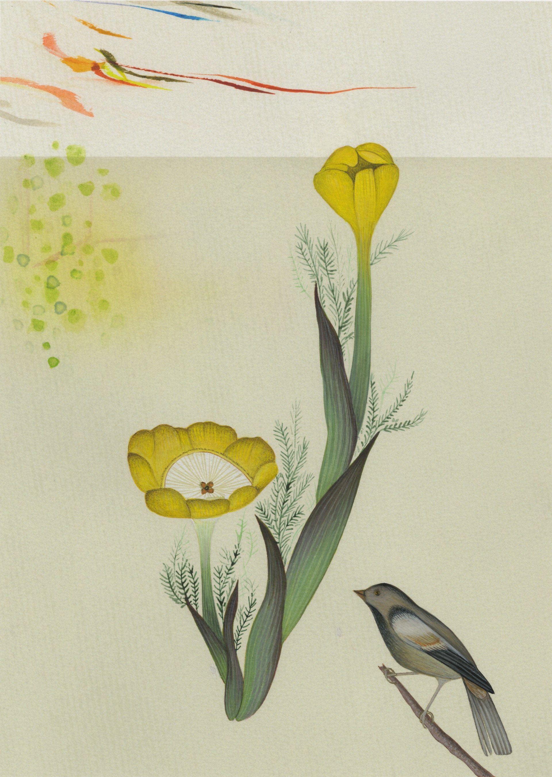 Yellow Flower and Bird by Anne Smith