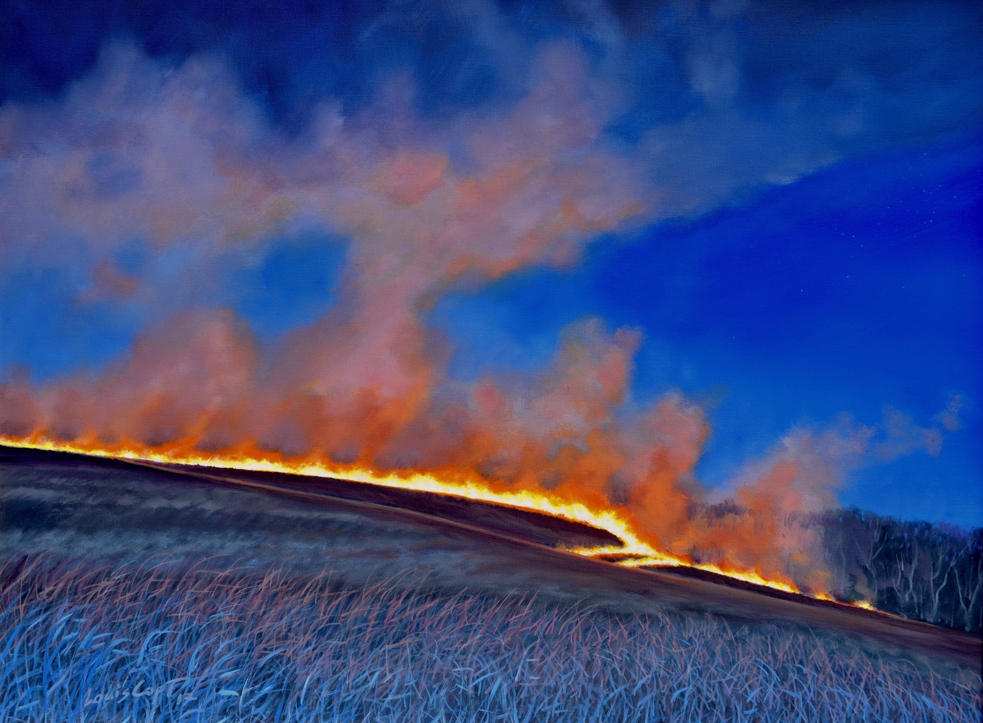 Burn at Diamond Creek by Louis Copt