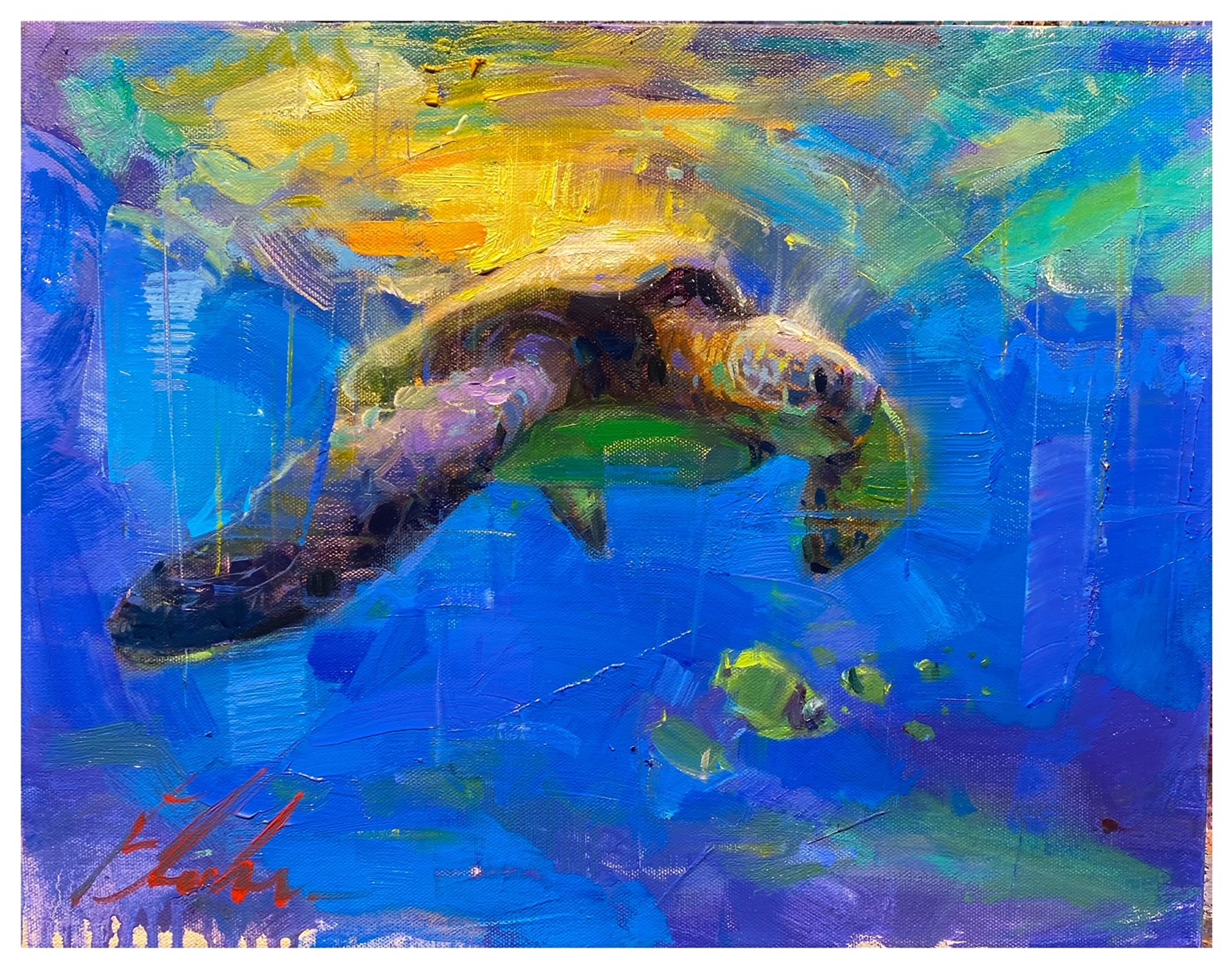 Under The Sea by Michael Flohr