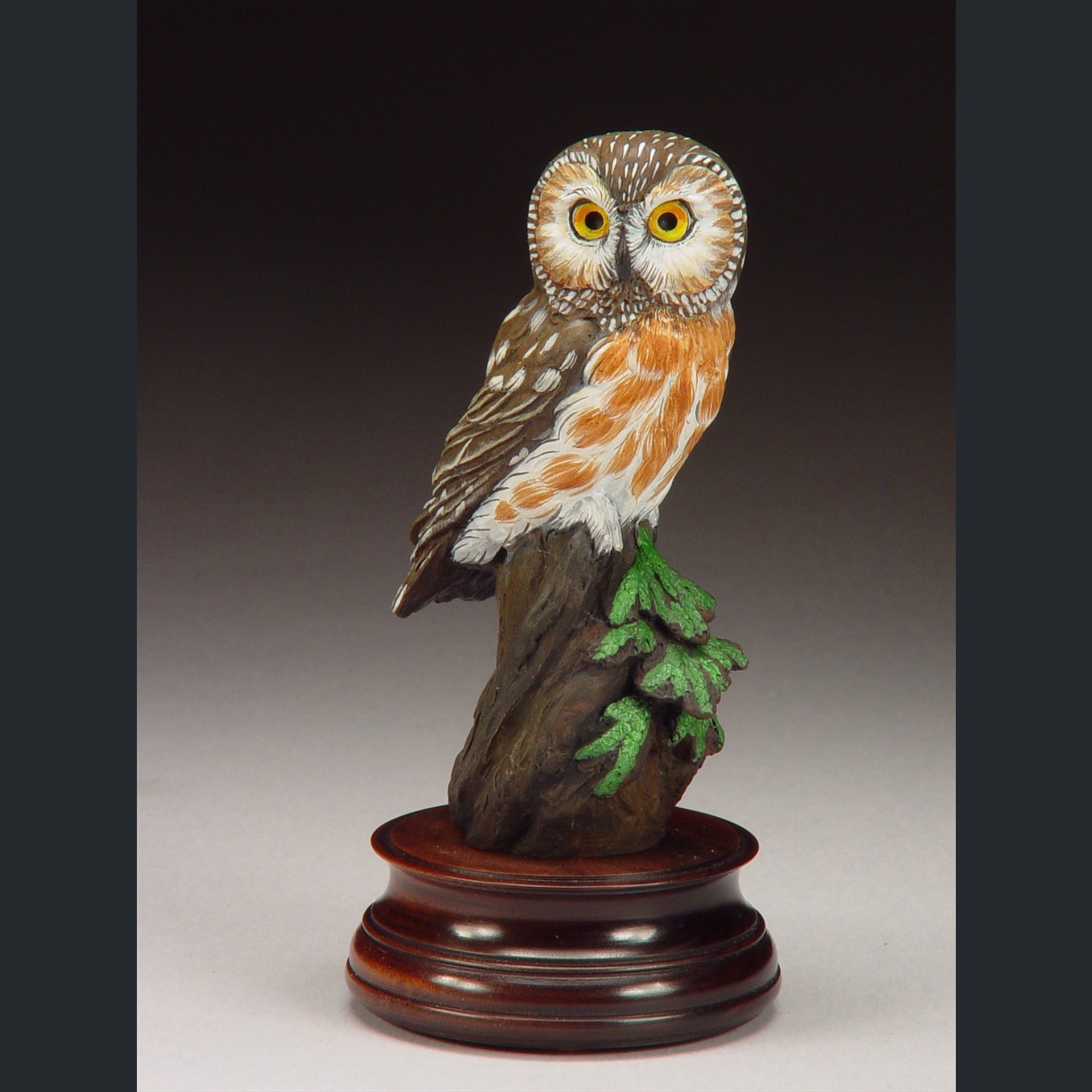 Saw-whet Owl by Joan Zygmunt