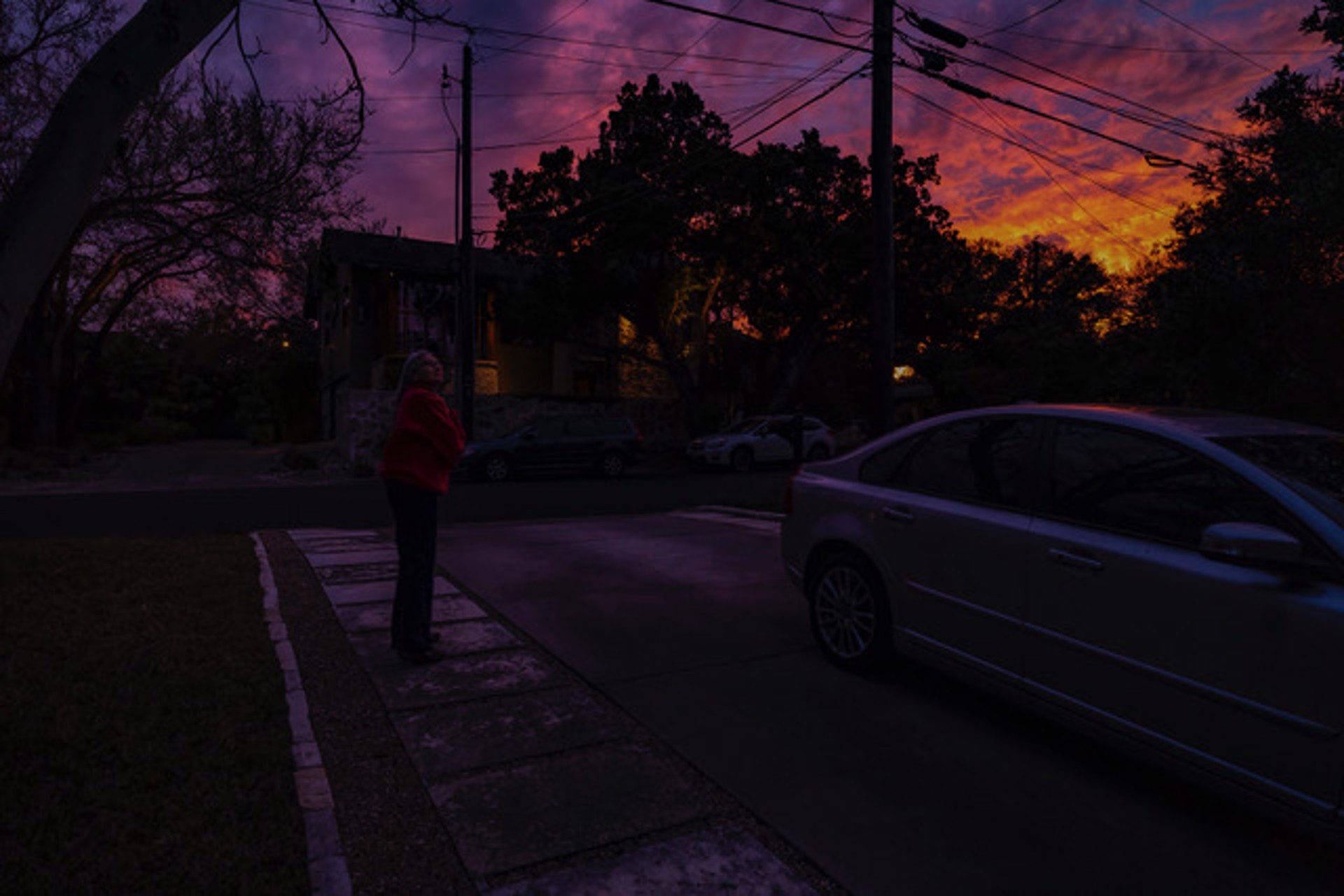 From Around the House During the Pandemic, Grace Checking Out a Beautiful Sunset in the Front Yard, Texas by Lawrence McFarland