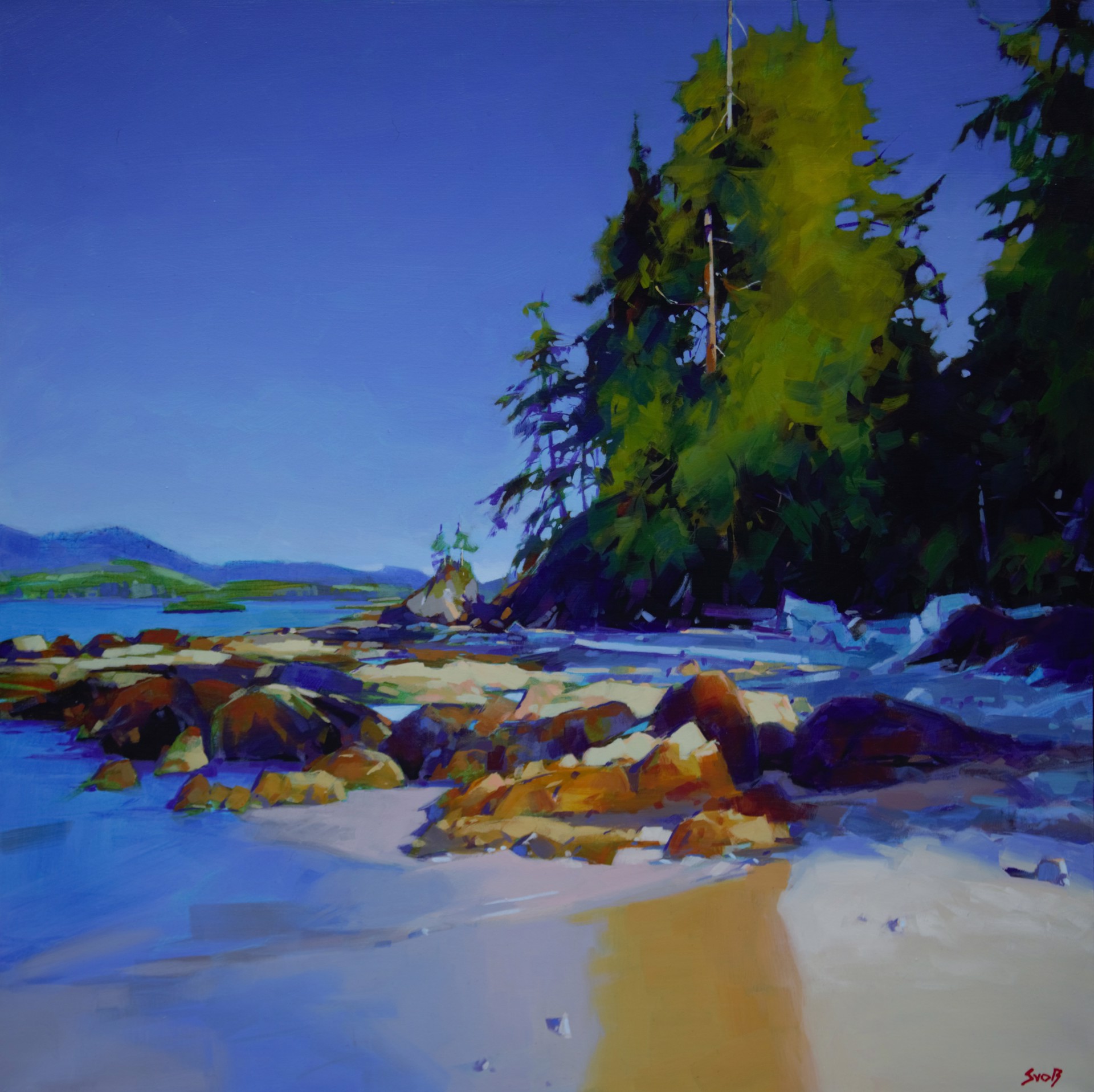 Charlies Beach  (Helby Island BC) by MIKE SVOB