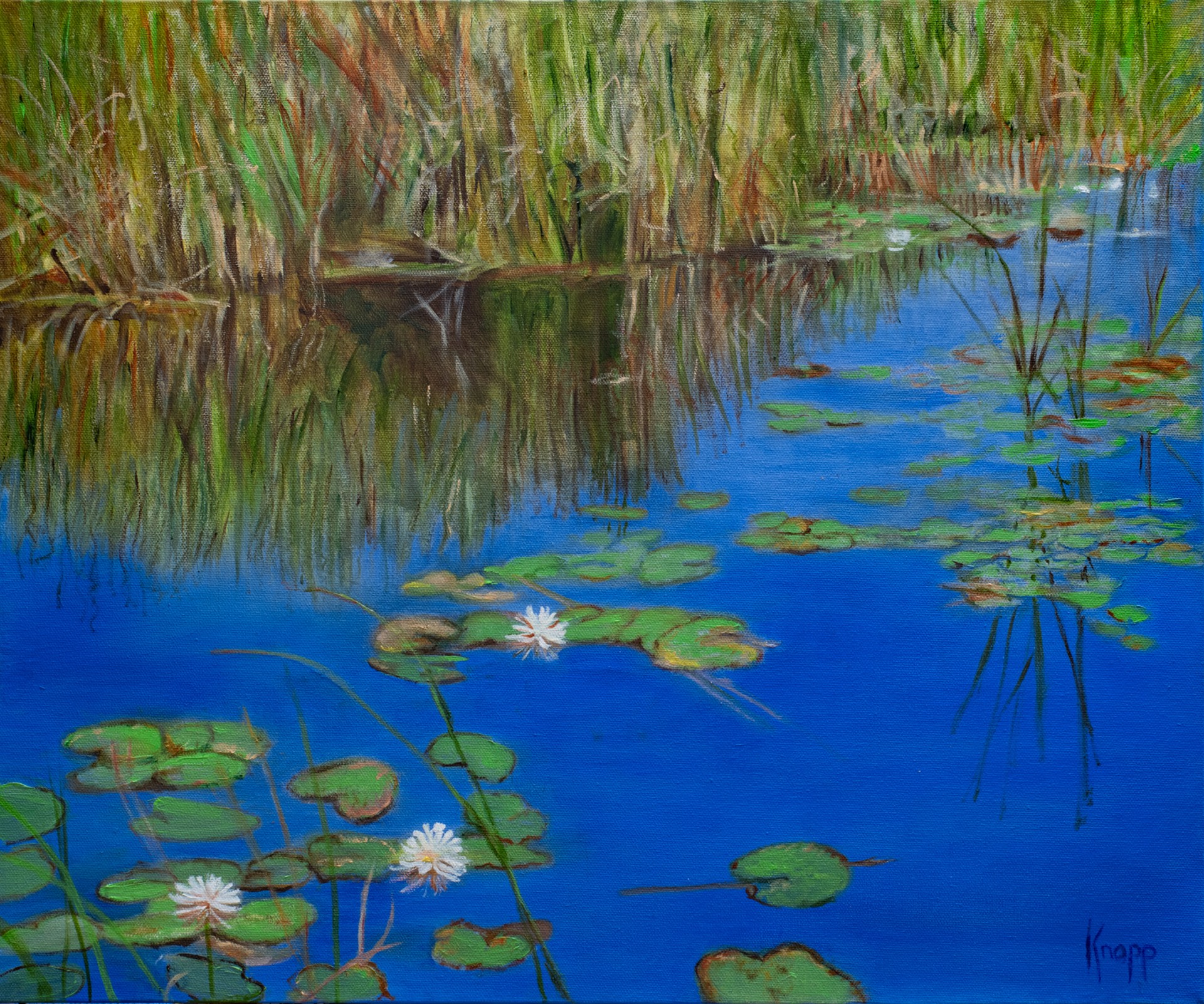 Giverny Lillies by Kathy Knopp
