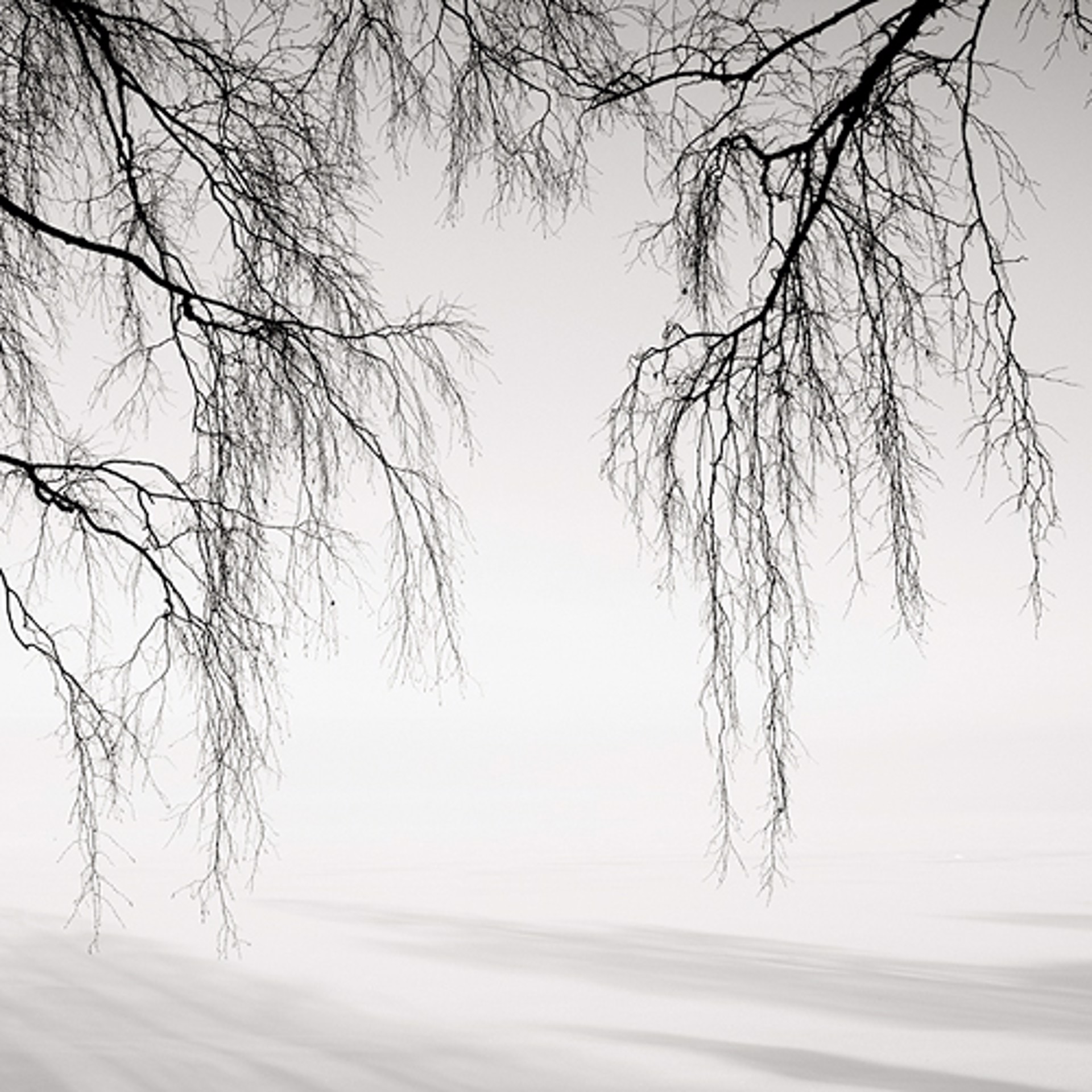 Winter Study by Josef Hoflehner