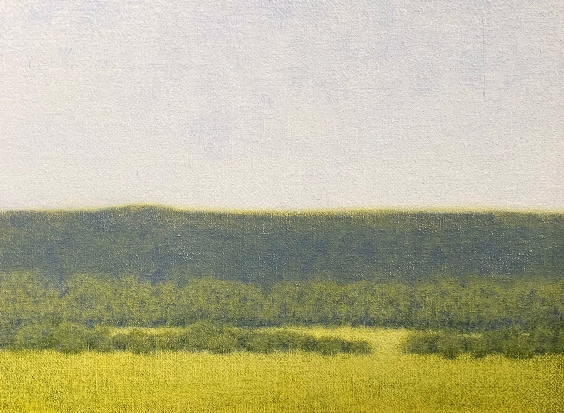 GREEN PASTURES by William "Lucky" Davis
