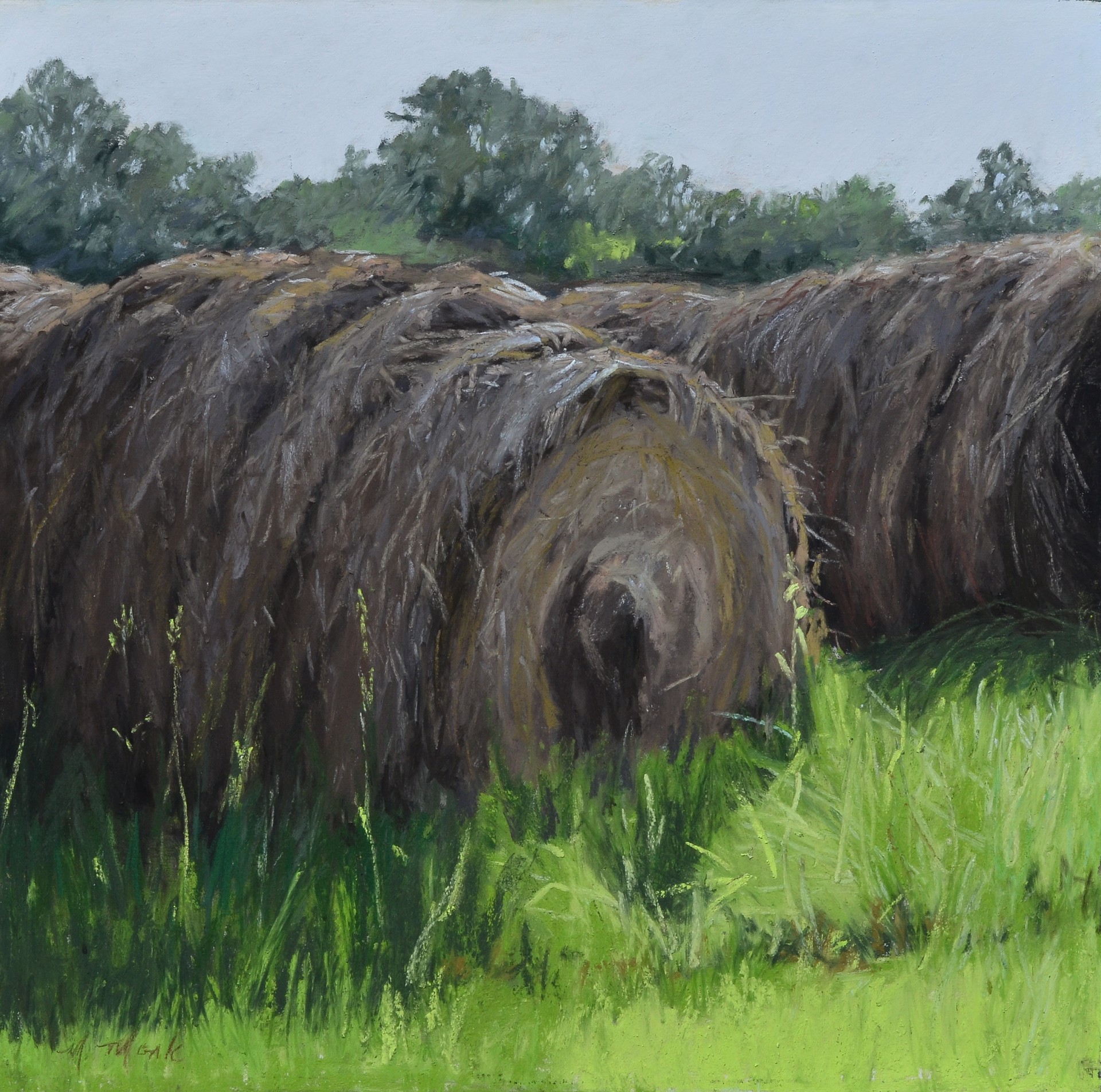 Hay in Shadow by Mary Monk