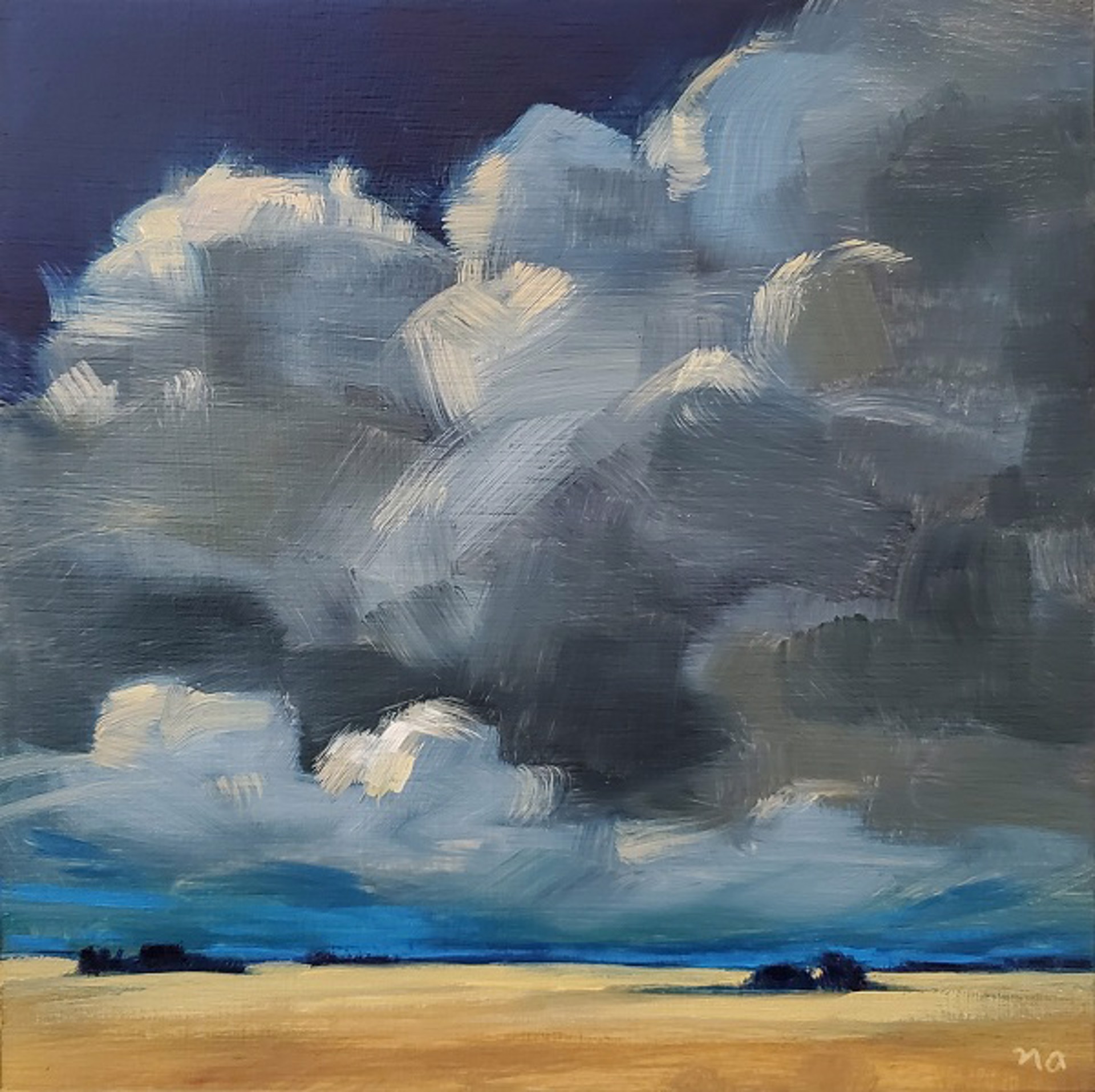 Afternoon Storm Clouds by Nicki Ault