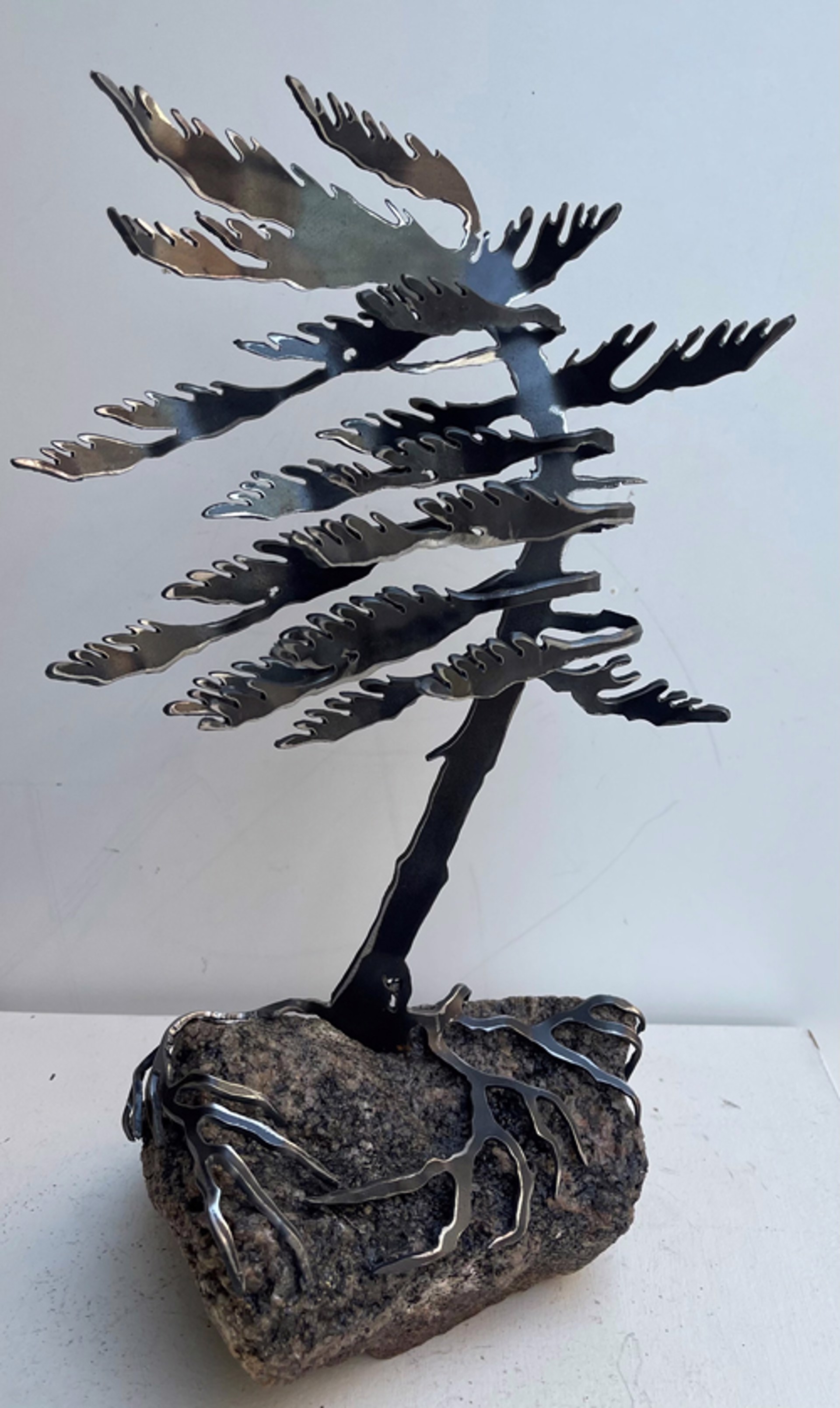 One Tree Rock by Cathy Mark