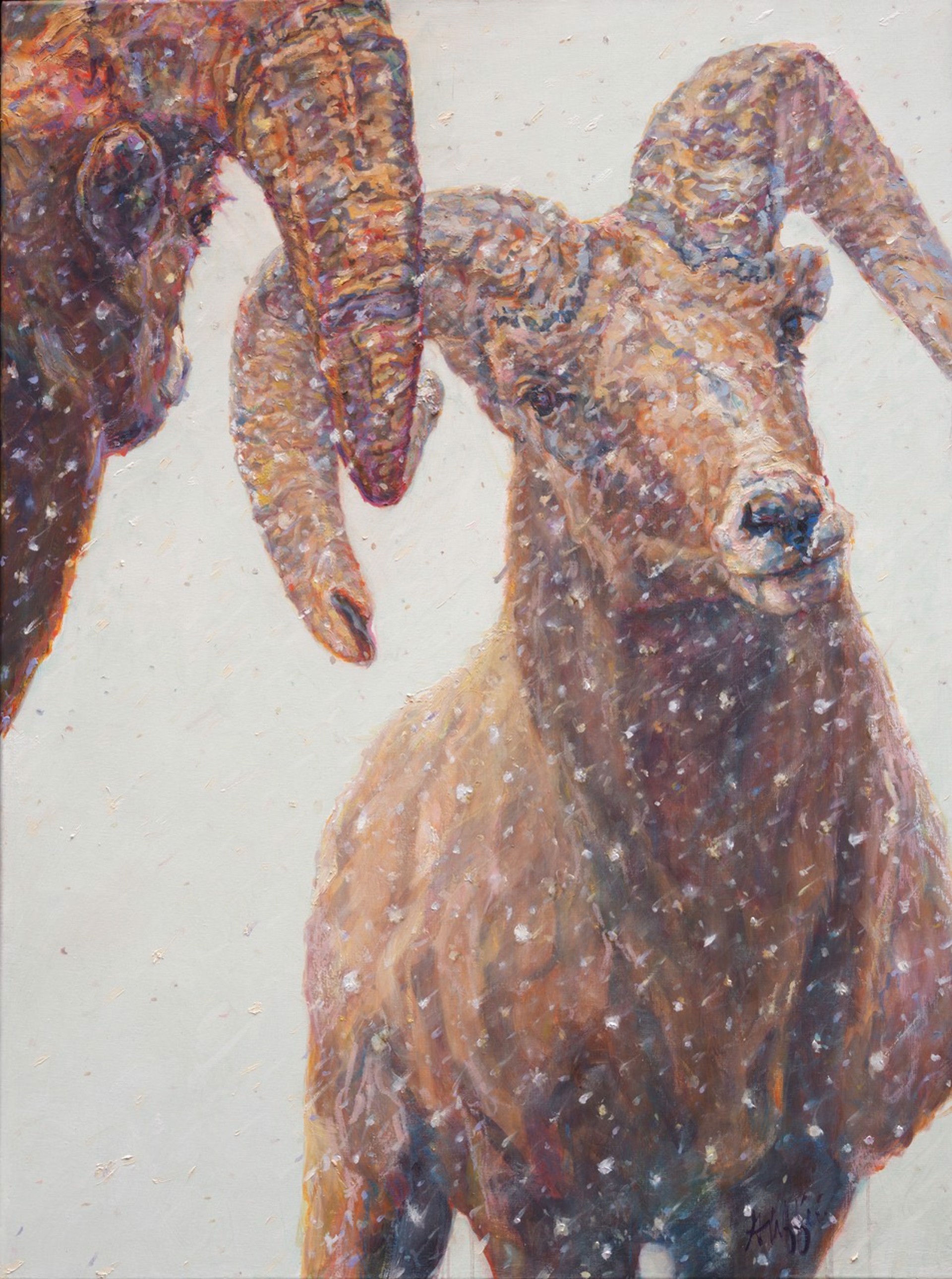 A Contemporary Oil Painting Of Two Bighorn Sheep By Patricia Griffin Available At Gallery Wild