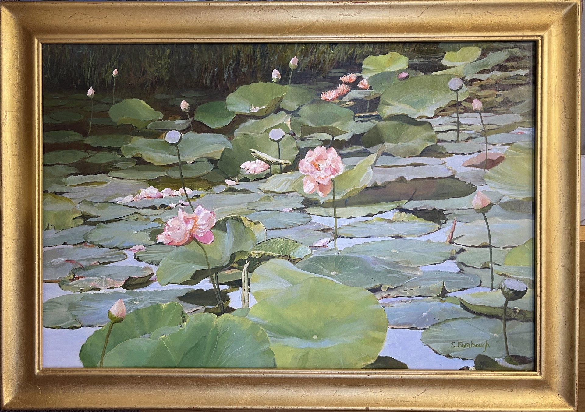 Lotus Pond by Sheri Farabaugh