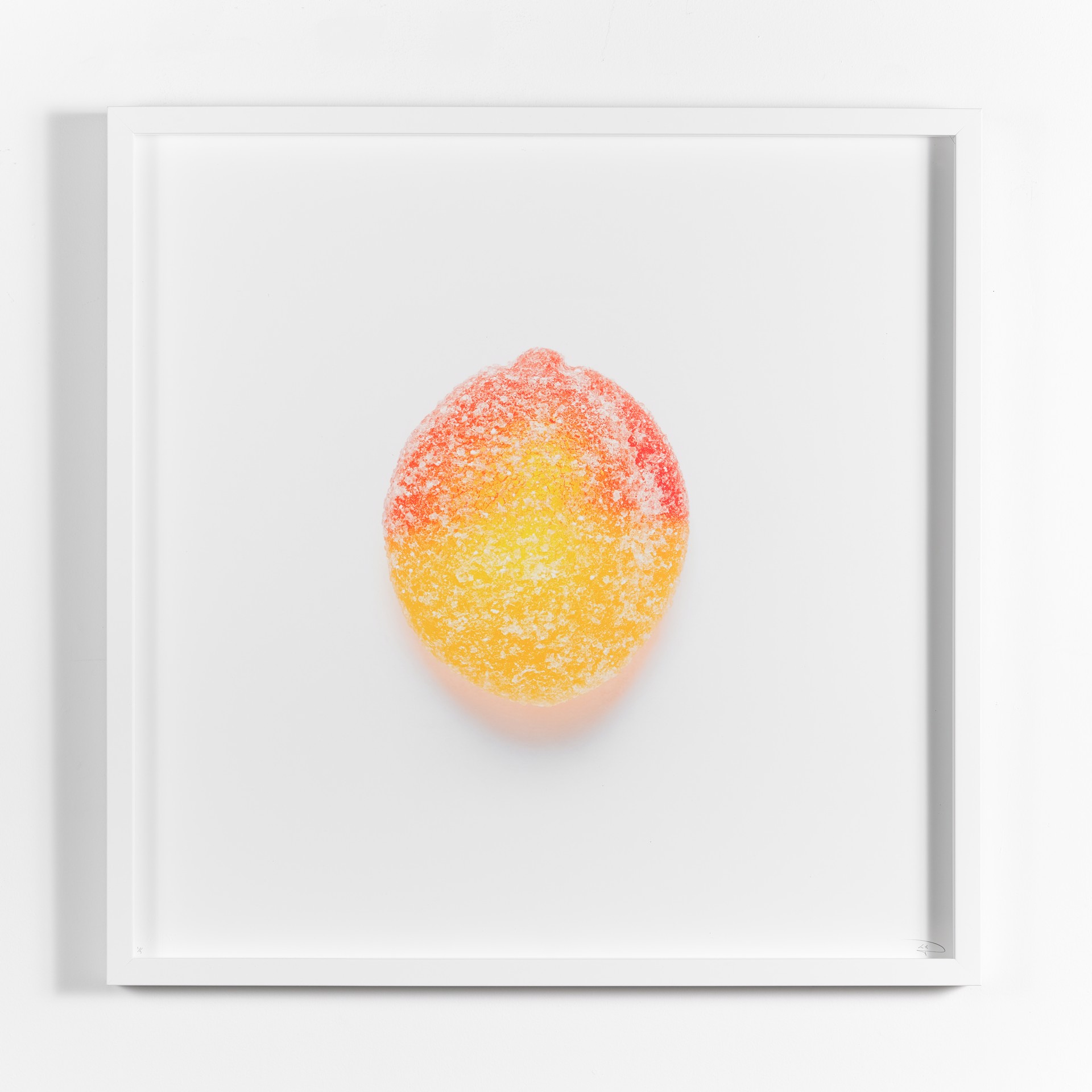 Fuzzy Peach by Peter Andrew Lusztyk / Refined Sugar