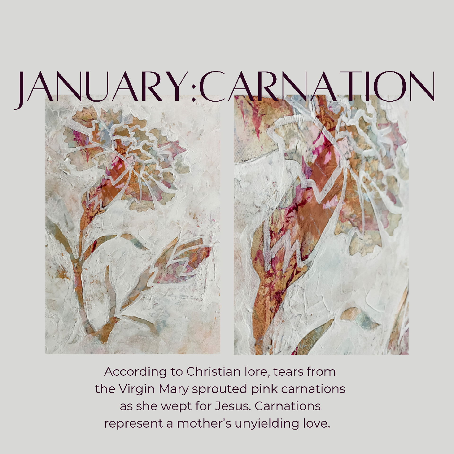 January Carnation by Corinne Mitchell