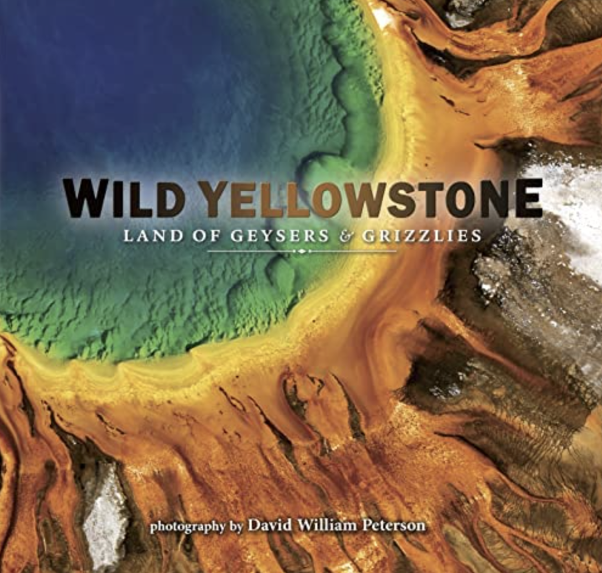 WILD YELLOWSTONE LAND OF GEYSERS & GRIZZLIES by David William Peterson