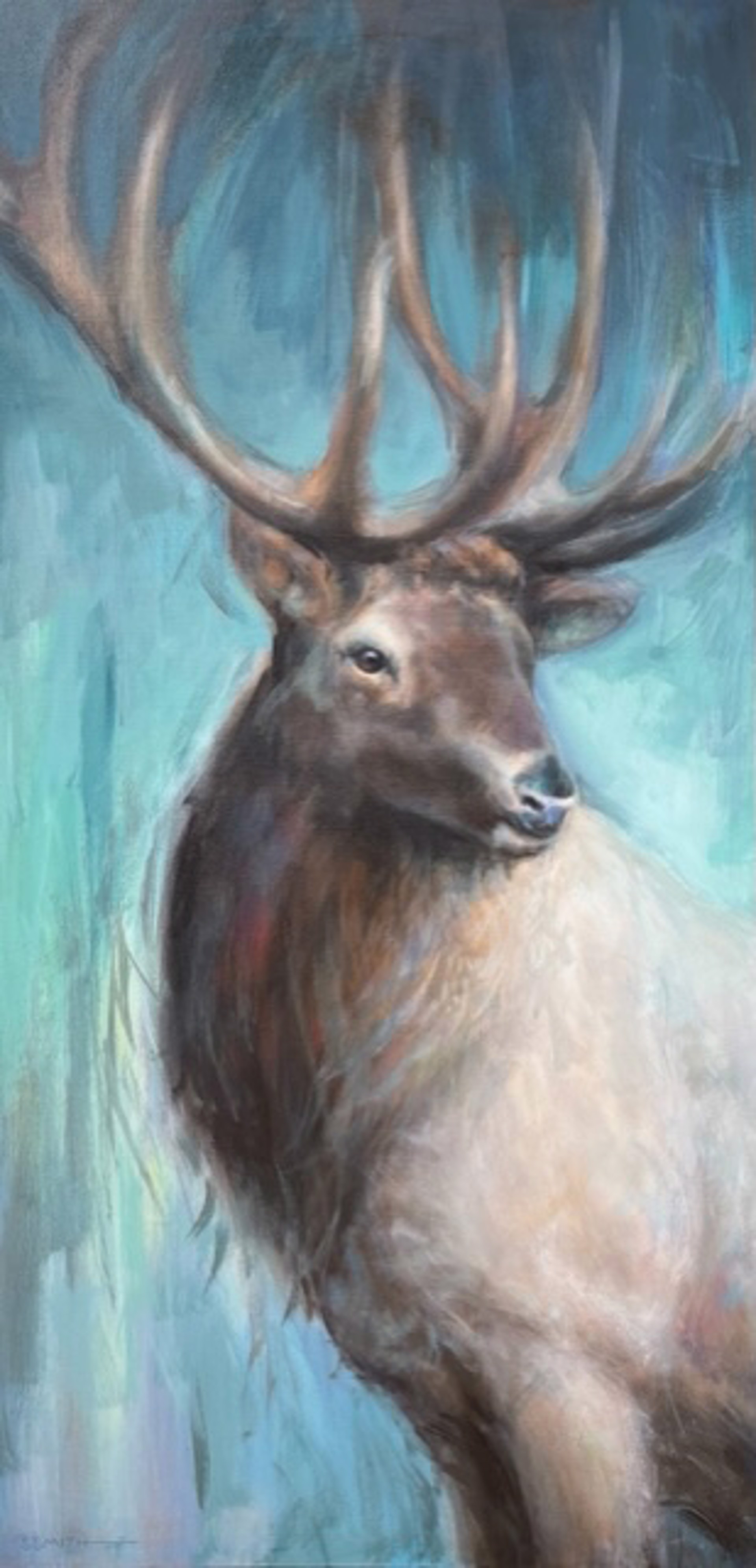 Elk by Sharon Smith