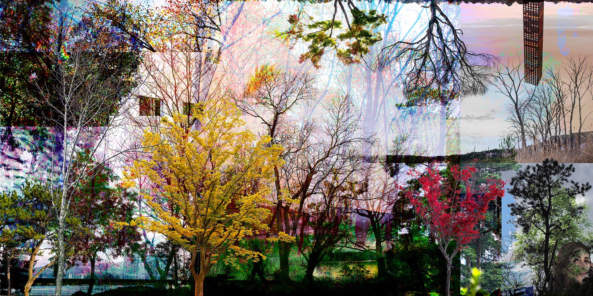 Urban Forests_01 by Young Sam Kim