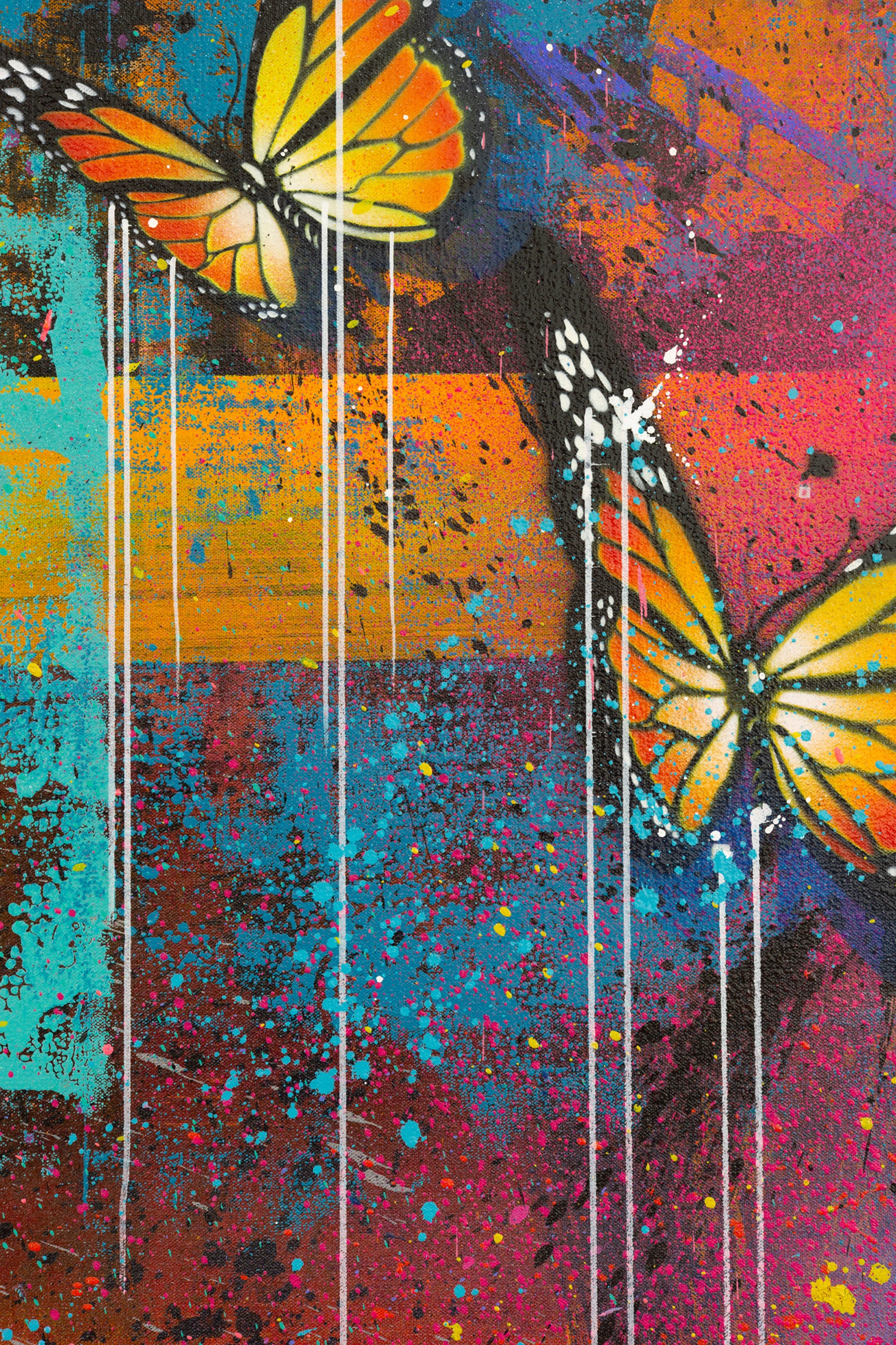 Keep On Butterfly by Risk