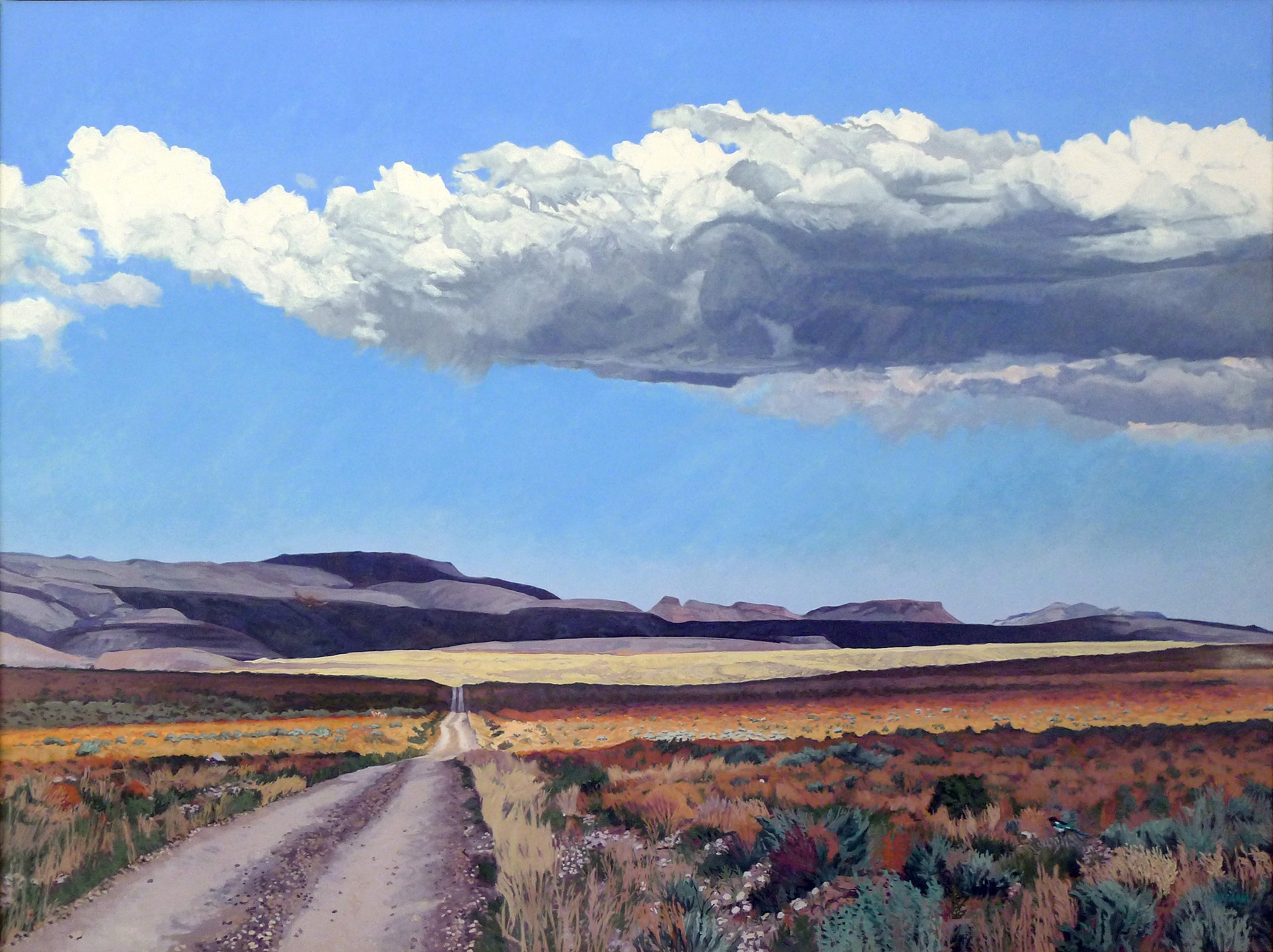 Edge of the Great Basin by Sheila Gardner
