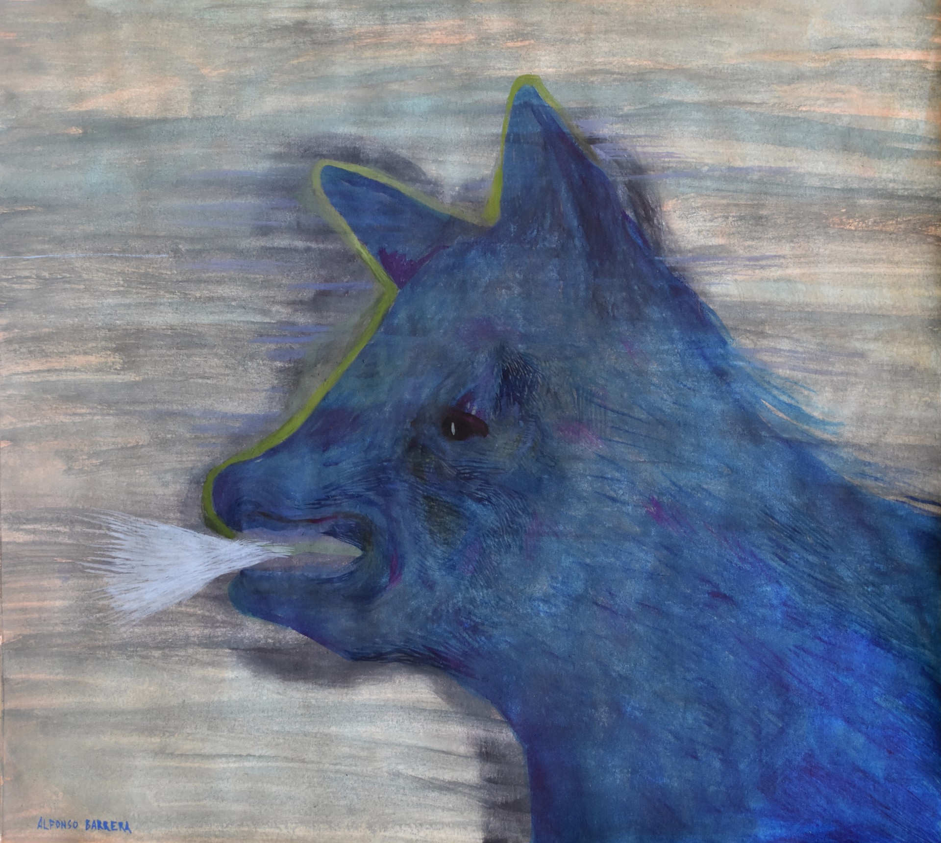 Coyote que Habla (framed) by Alfonso Barrera