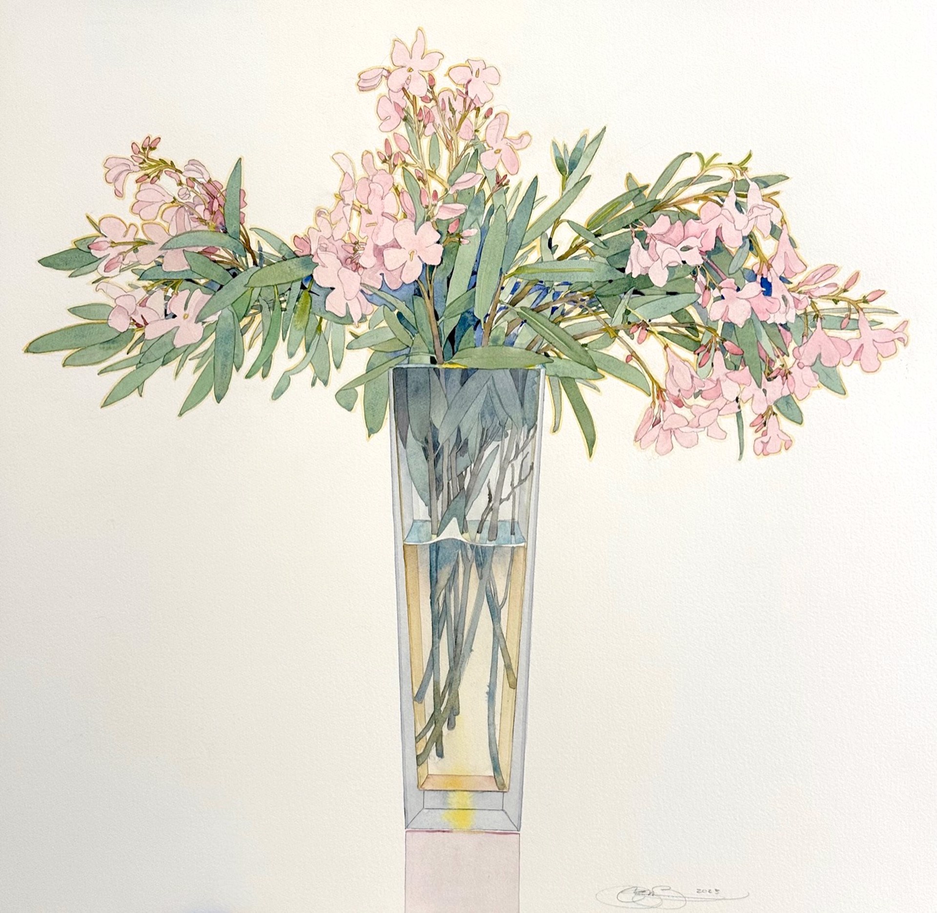 Oleander Still life by Gary Bukovnik