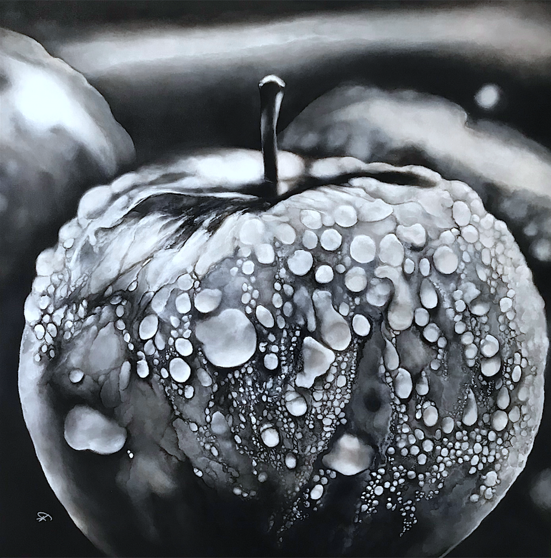 Apple by Herb Schultz
