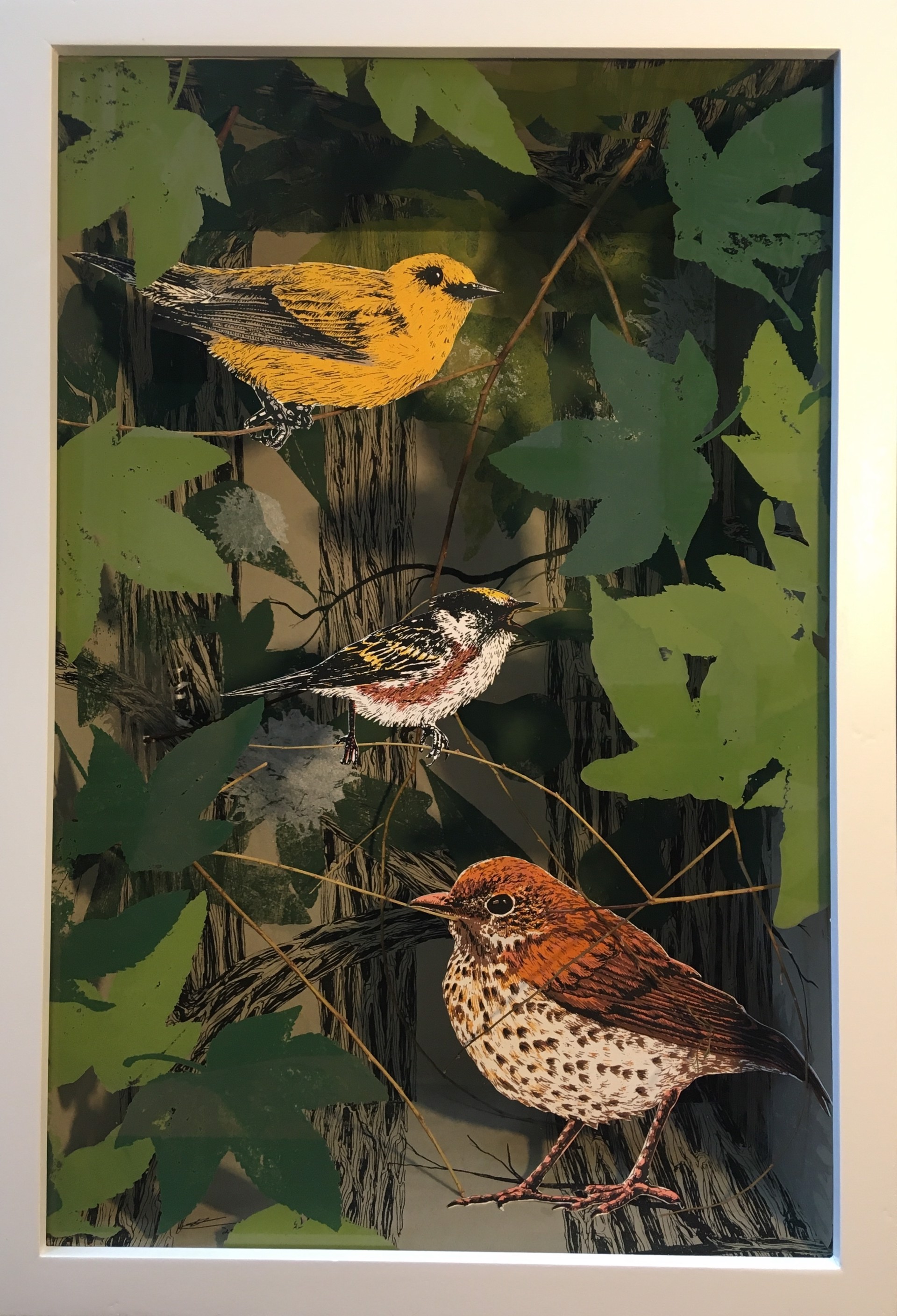 Warbler and Thrush in Bottomland Forest by Pippin Frisbie-Calder