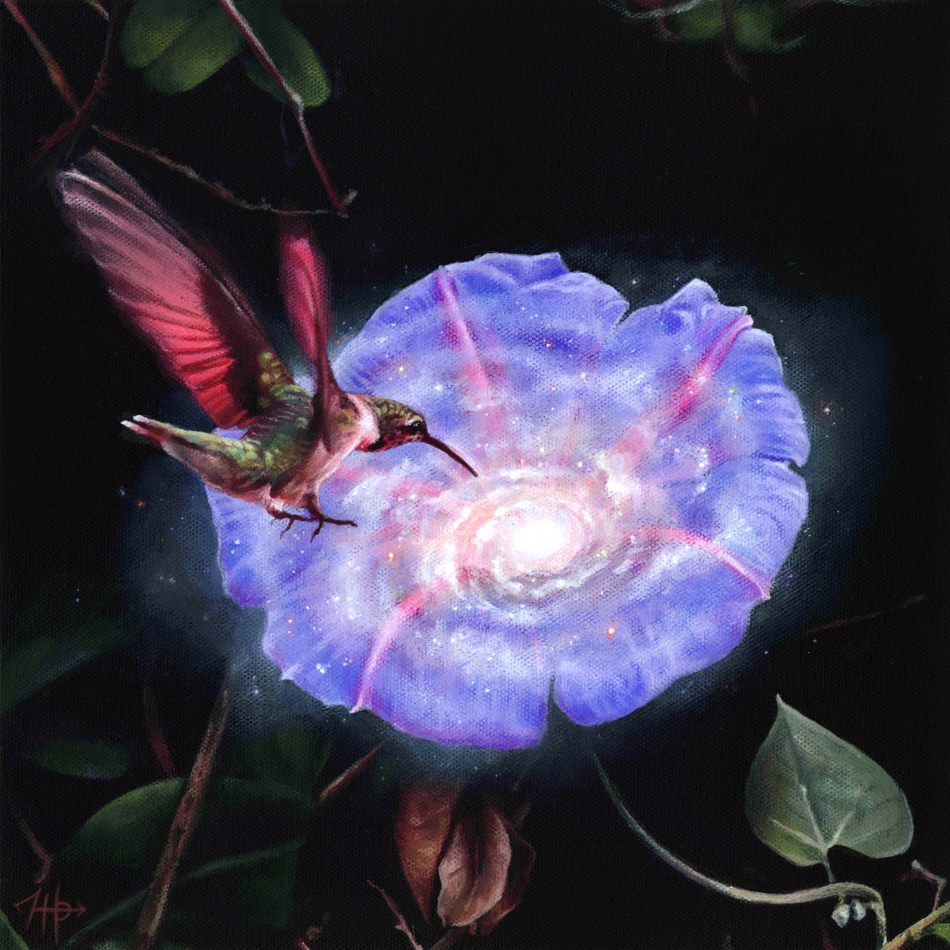 Nectar by Hallie Packard