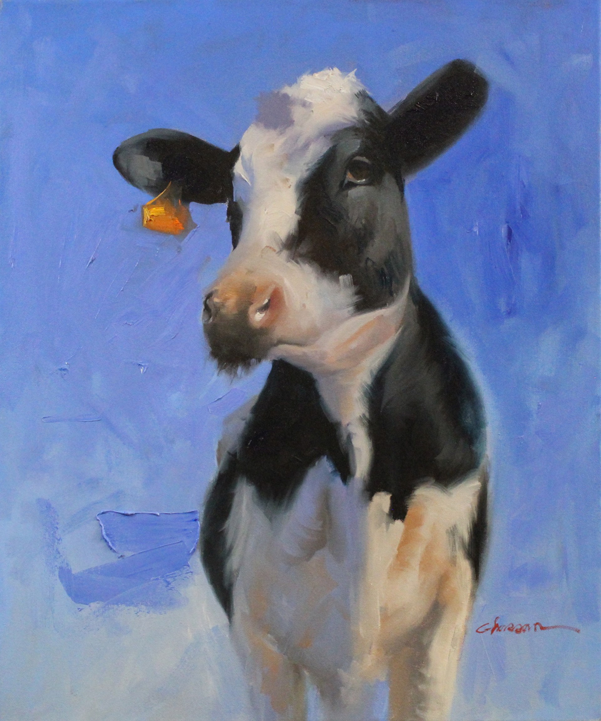 Black Cow by Ali Ghassan