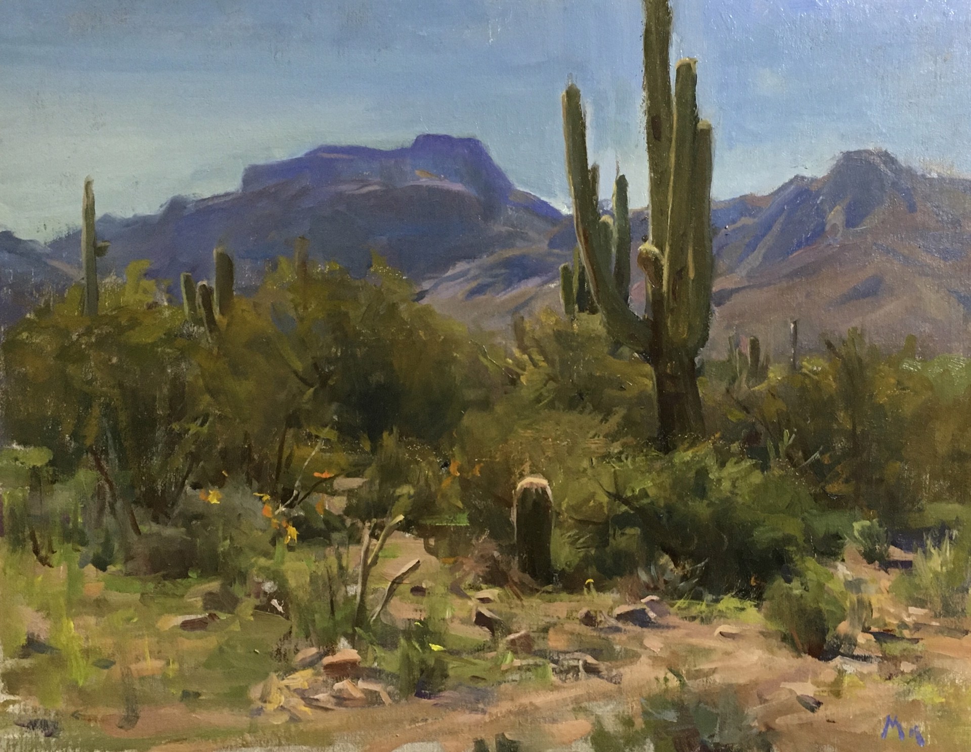 Afternoon at McDowell Mountains by Kyle Ma