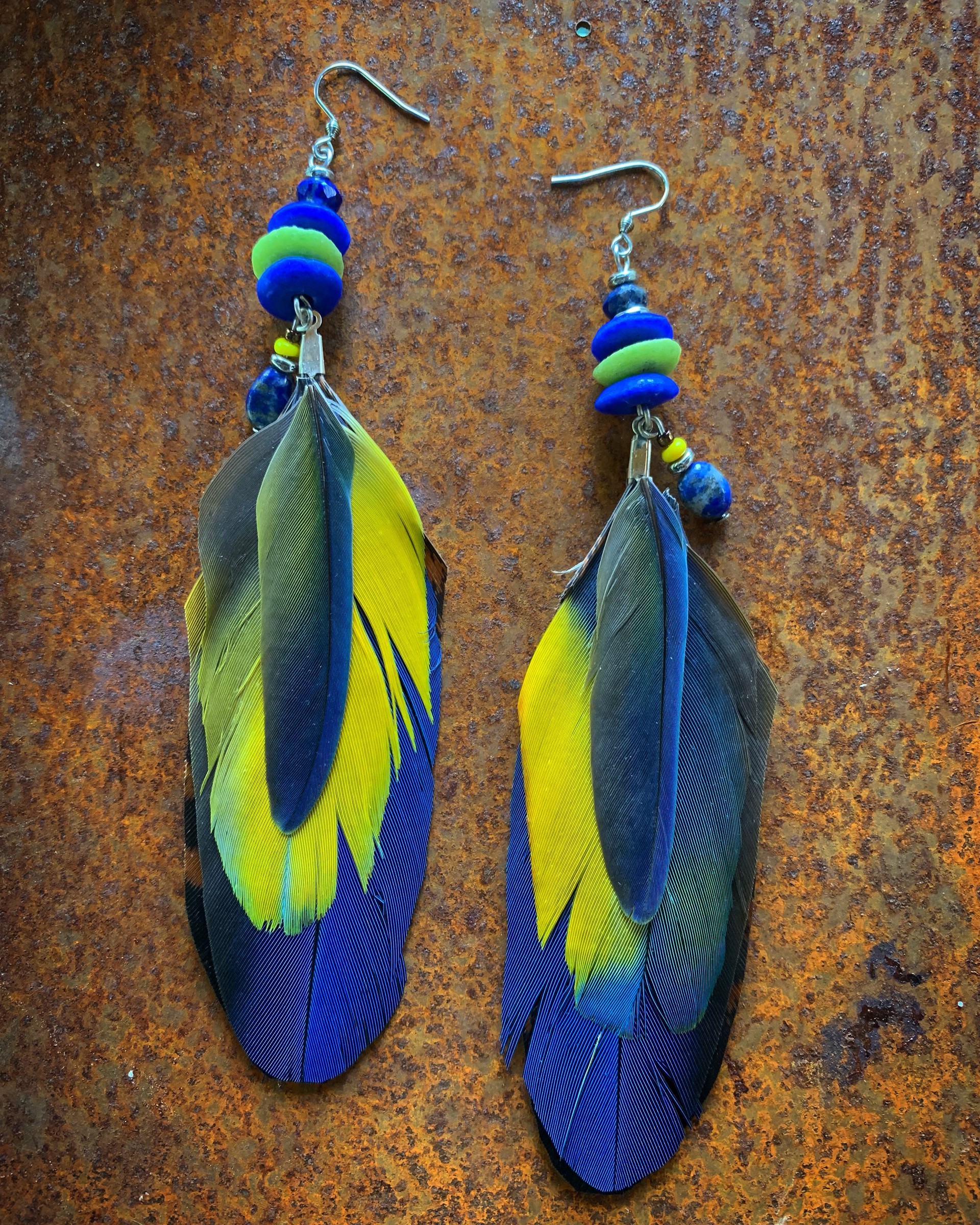 K669 Ethically Sourced Parrot Earrings Blue and Yellow by Kelly Ormsby