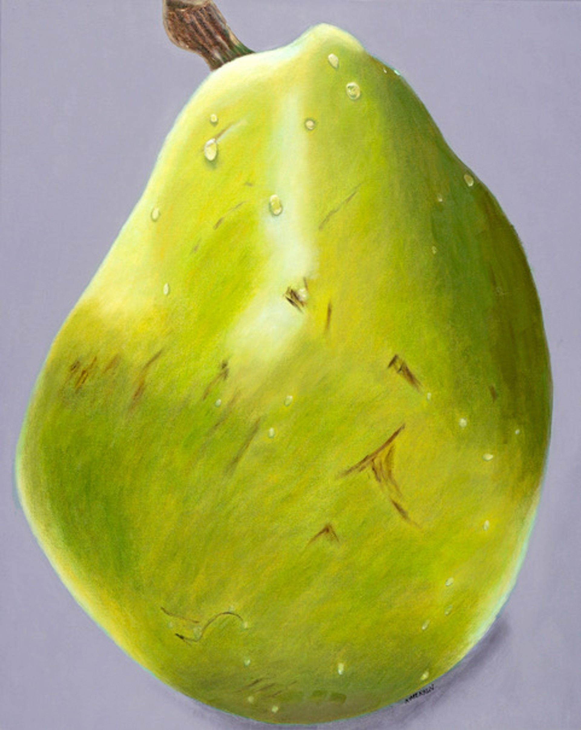 Large Anjou Pear by Karen Merkin