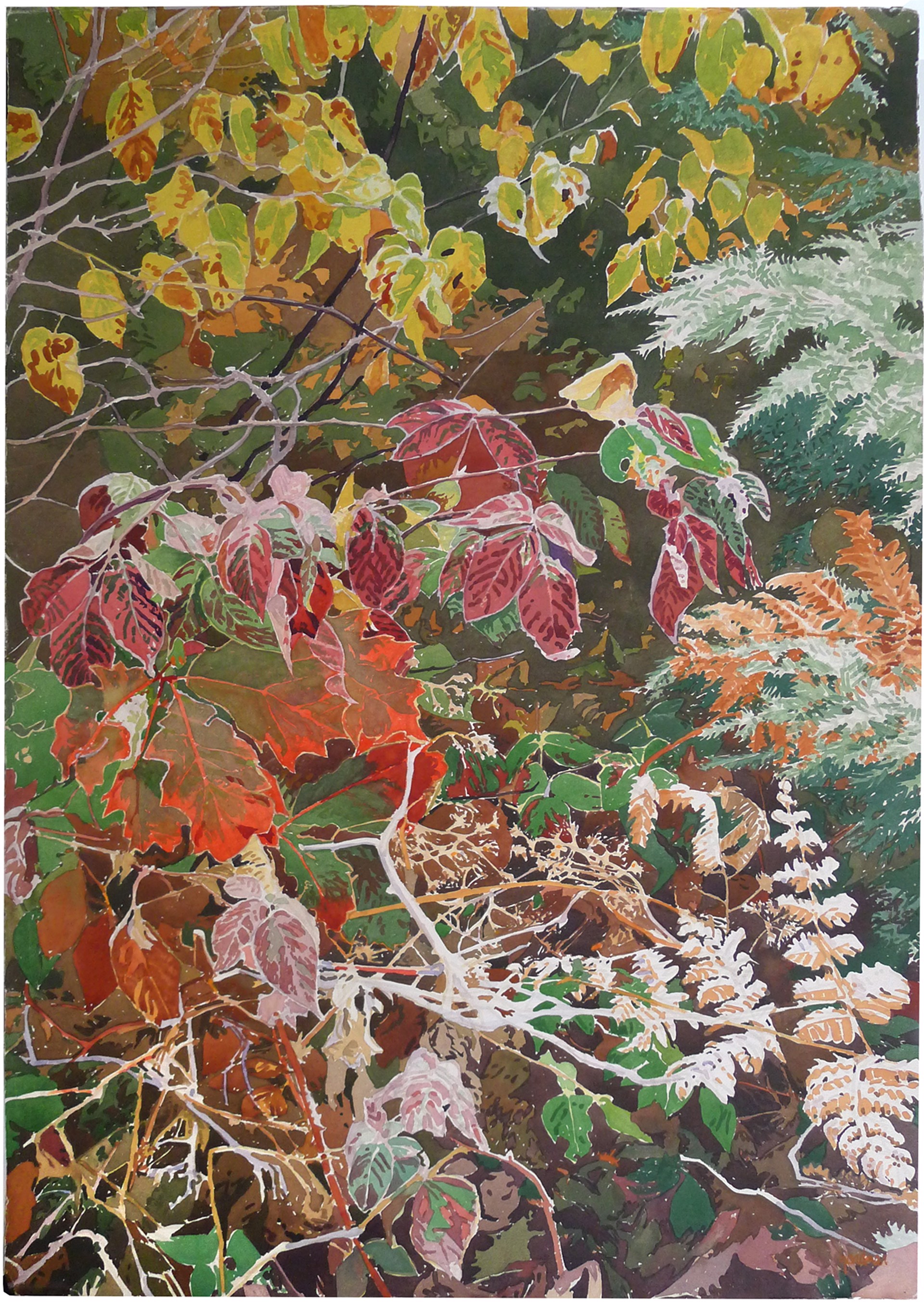 Frosting #2 Leaf Series by Sheila Gardner