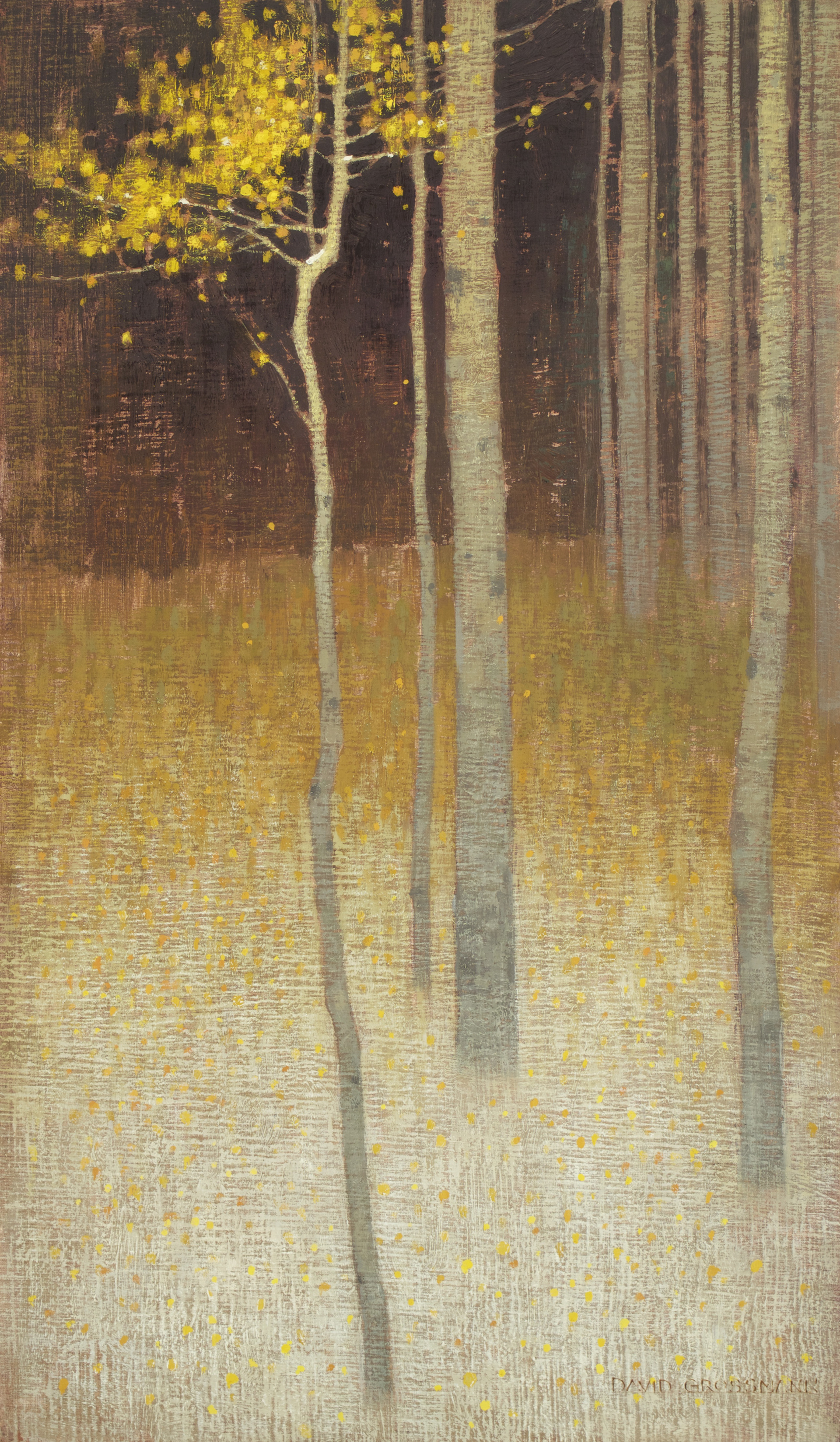 Last Leaves and First Snow by David Grossmann