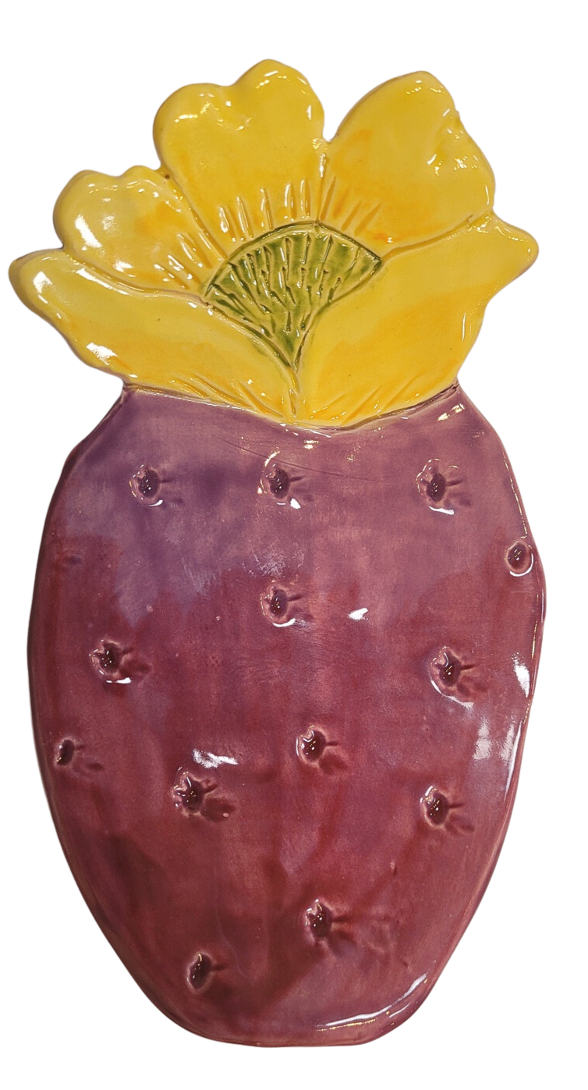 Purple Prickly Pear-Yellow Flower by Robin Chlad