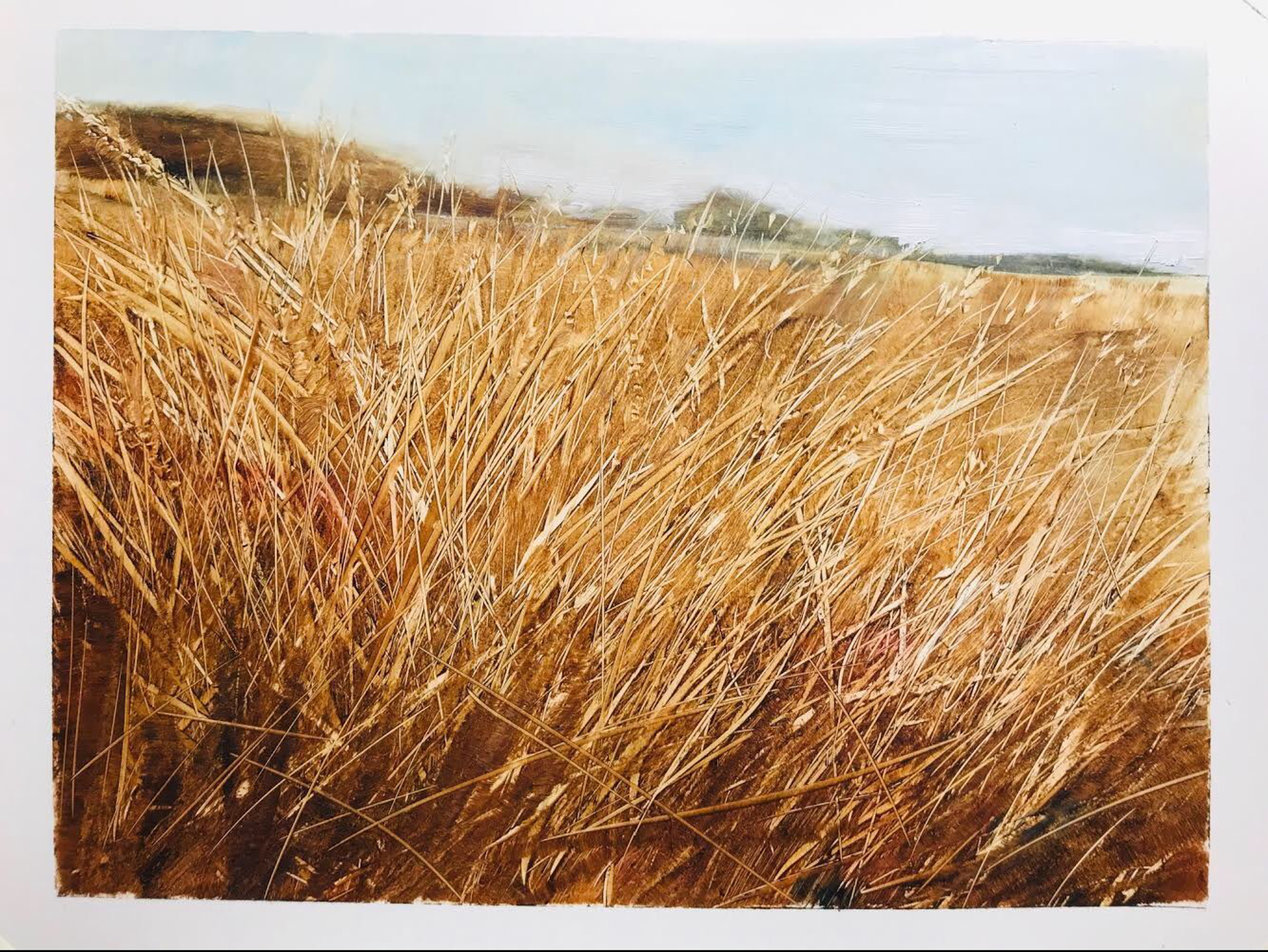 Marsh Grasses by Rick Telep