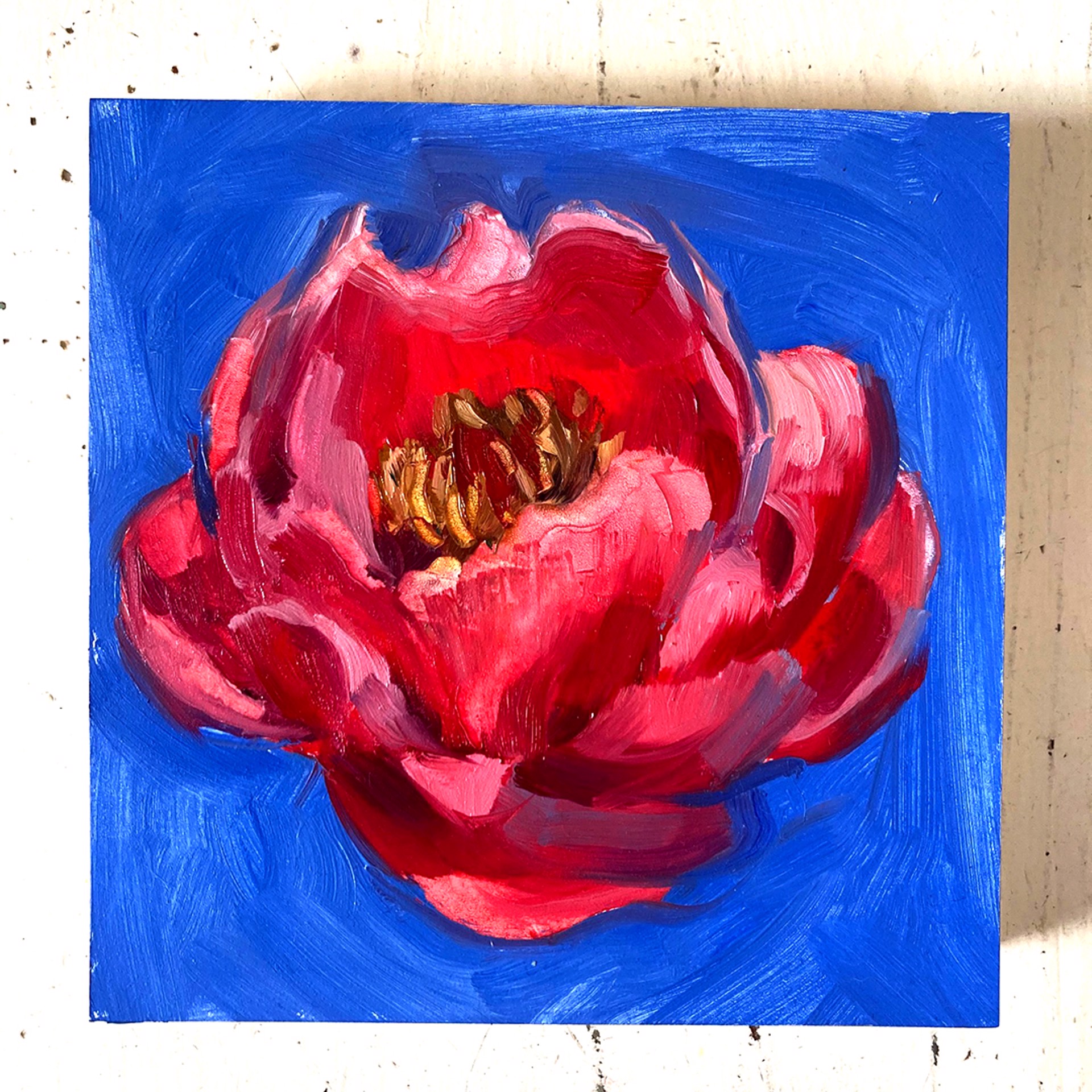 Peony Project #8 by Amy R. Peterson*